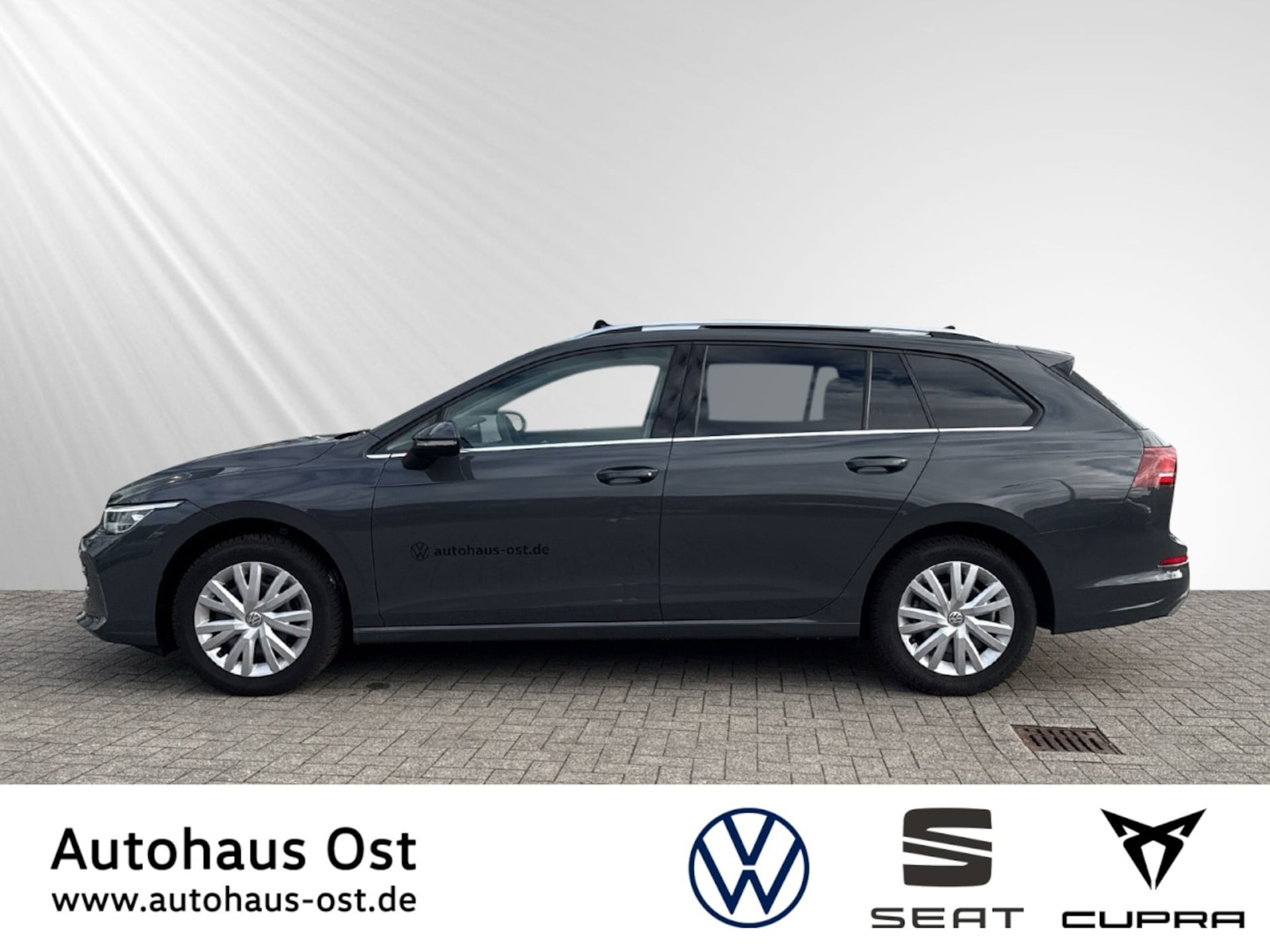 Volkswagen Golf Variant Style