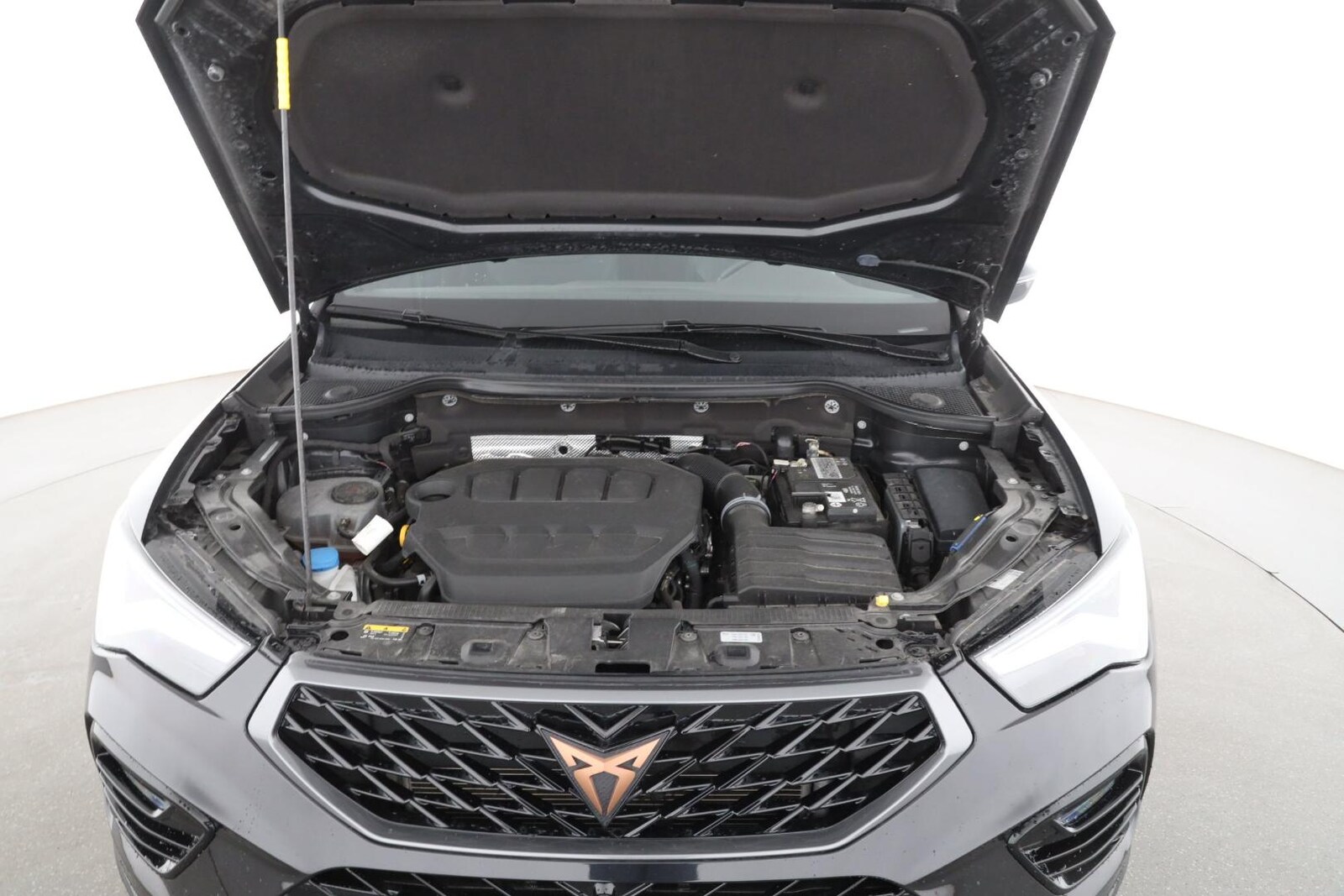 CUPRA Ateca – Bild 9