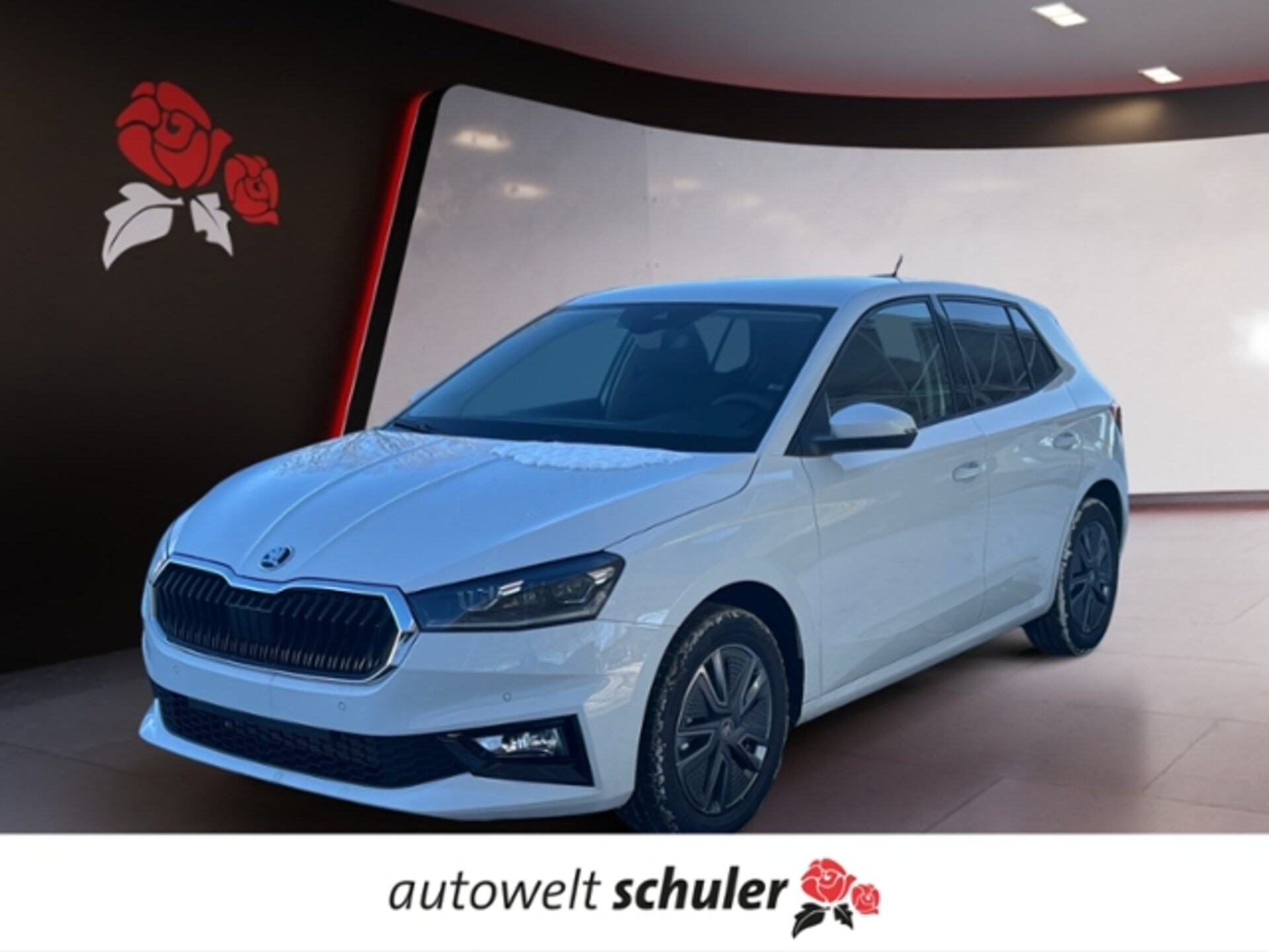 Skoda Fabia Selection