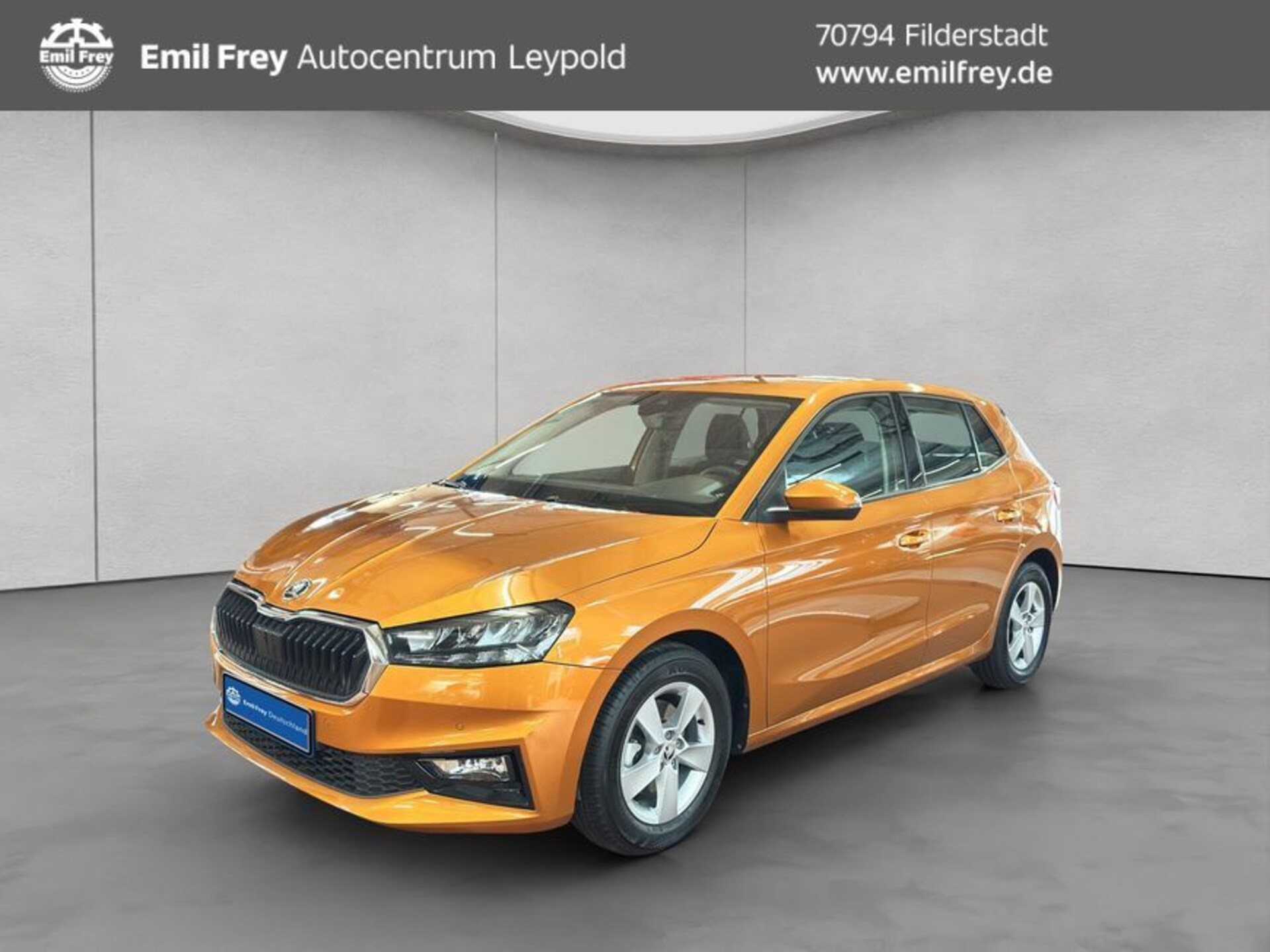 Skoda Fabia Selection