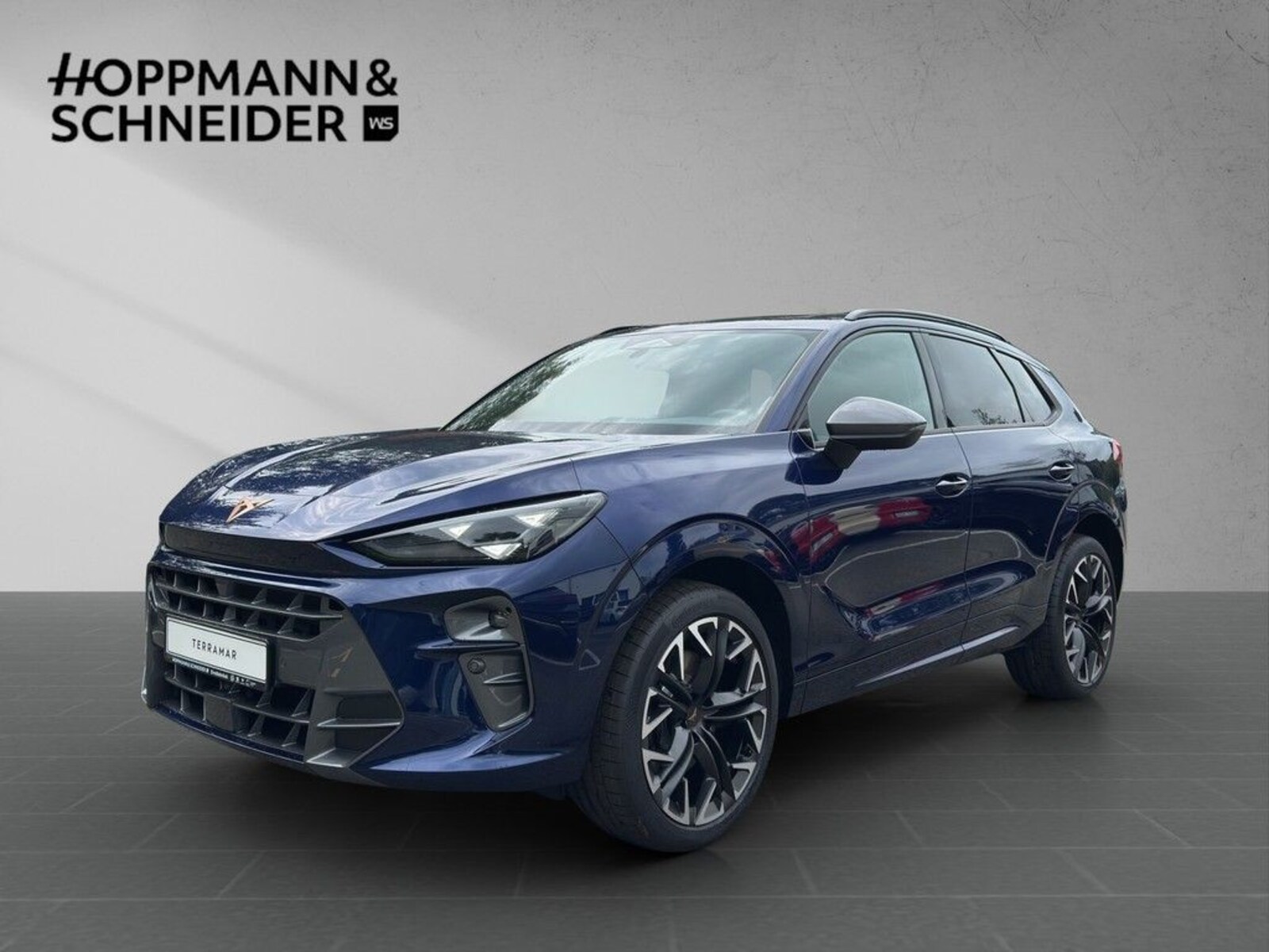 CUPRA Terramar – Bild 2