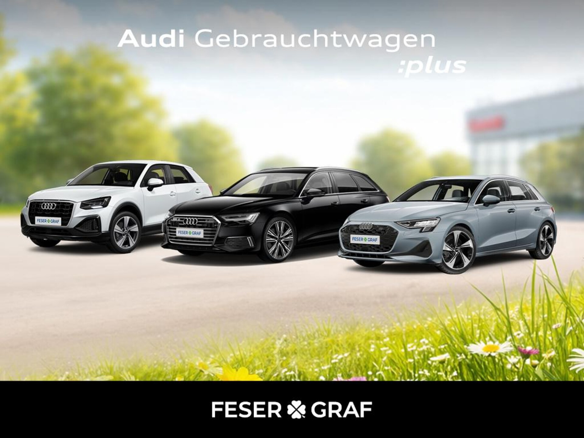 Audi Q2 Advanced