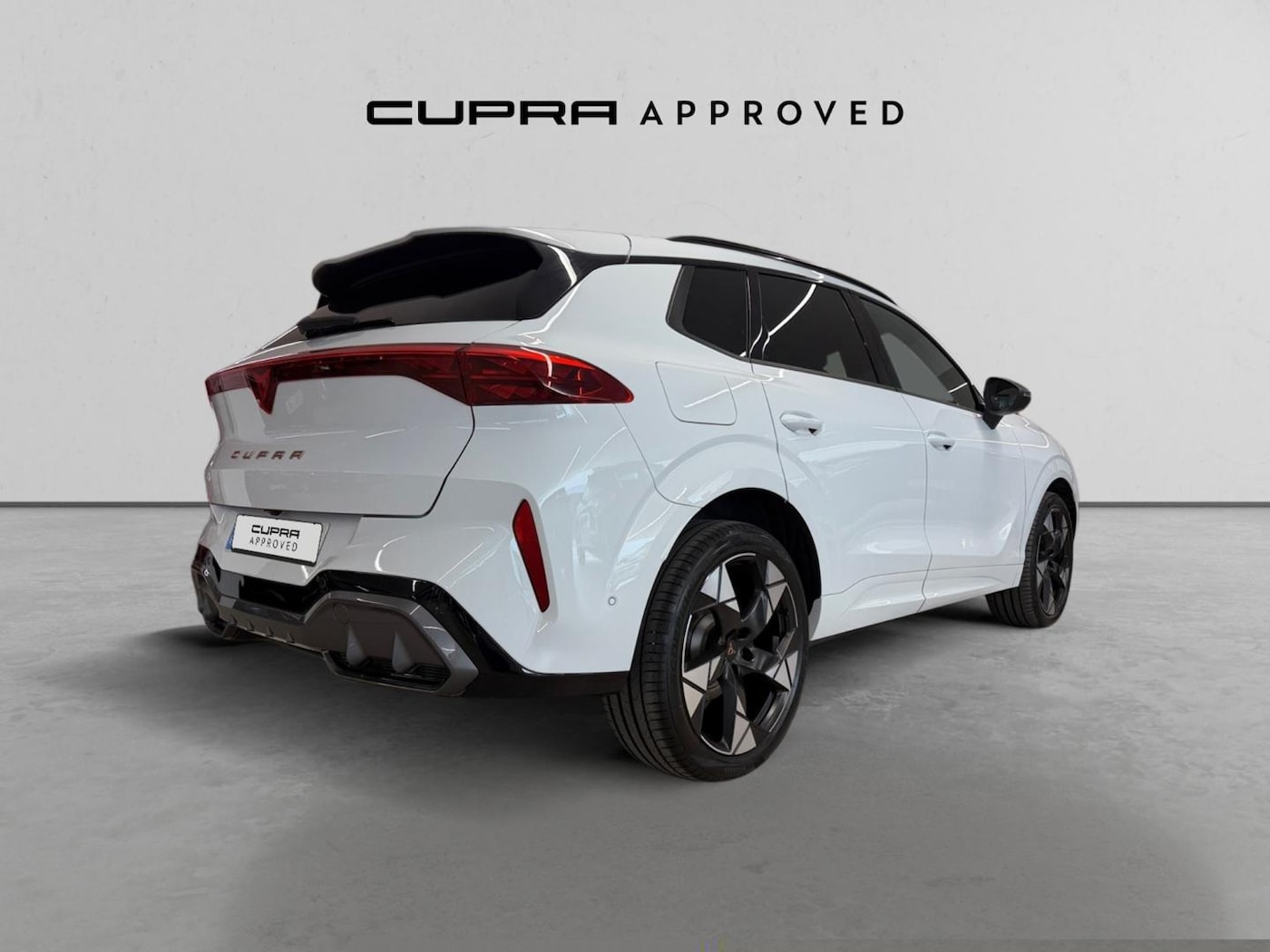 CUPRA Terramar 1.5 eTSI DSG 110 kW (150 CV) — photo 17