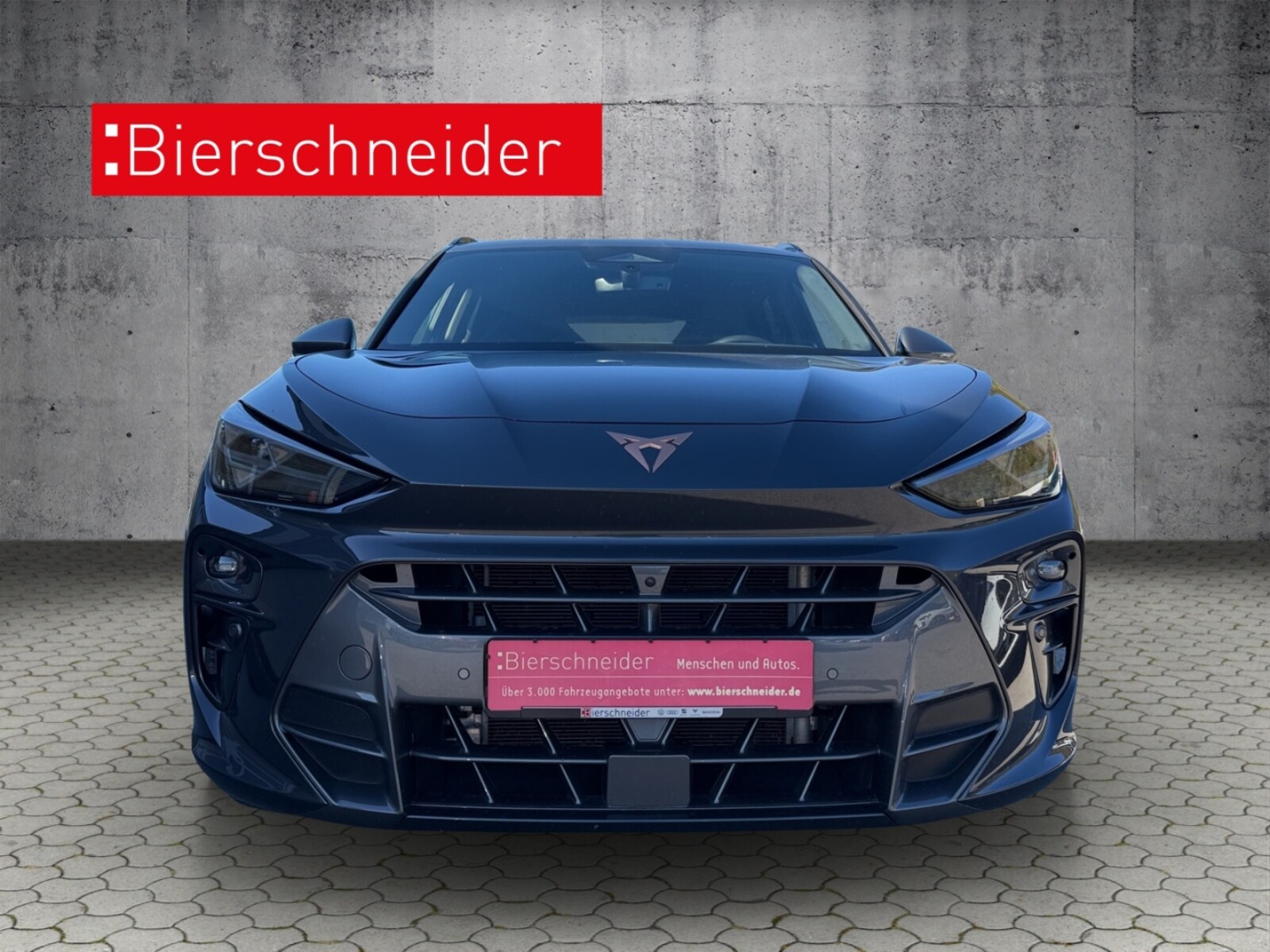 CUPRA Terramar – Bild 2