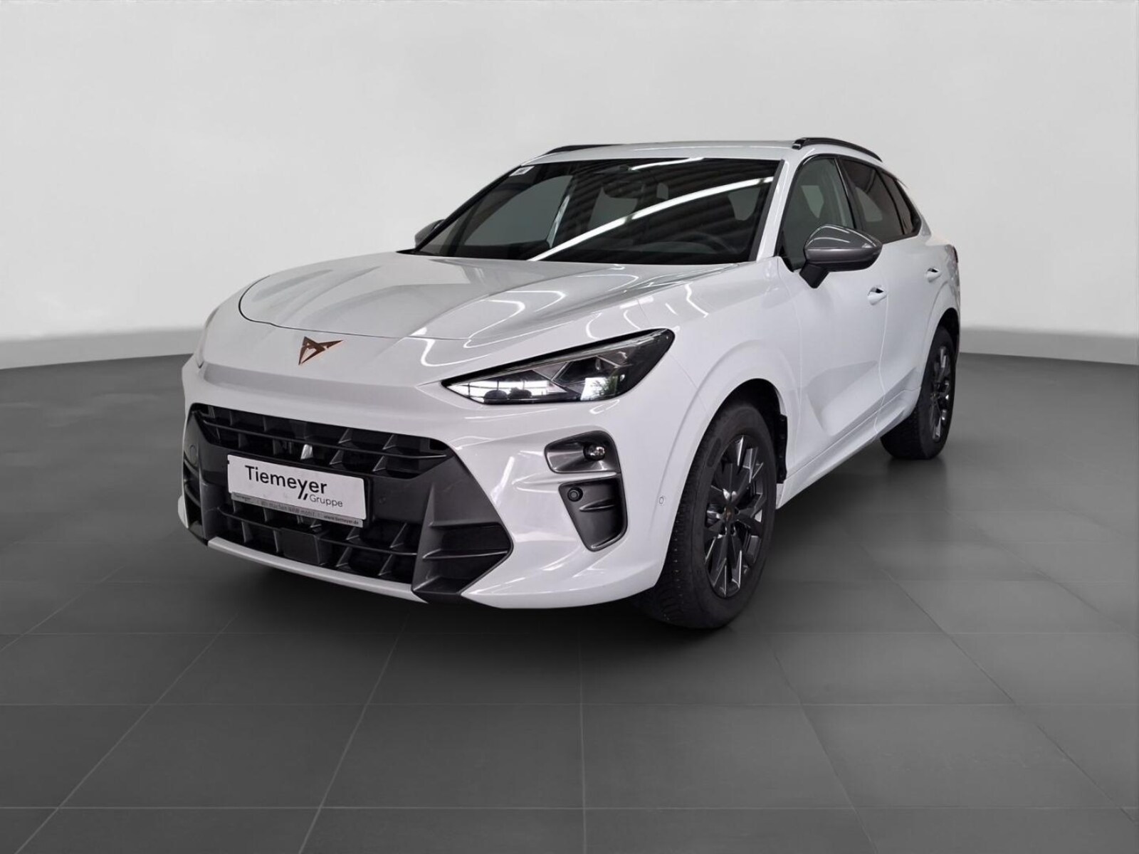 CUPRA Terramar – Bild 2