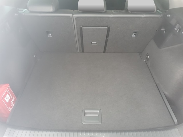 Bild des Autos 9