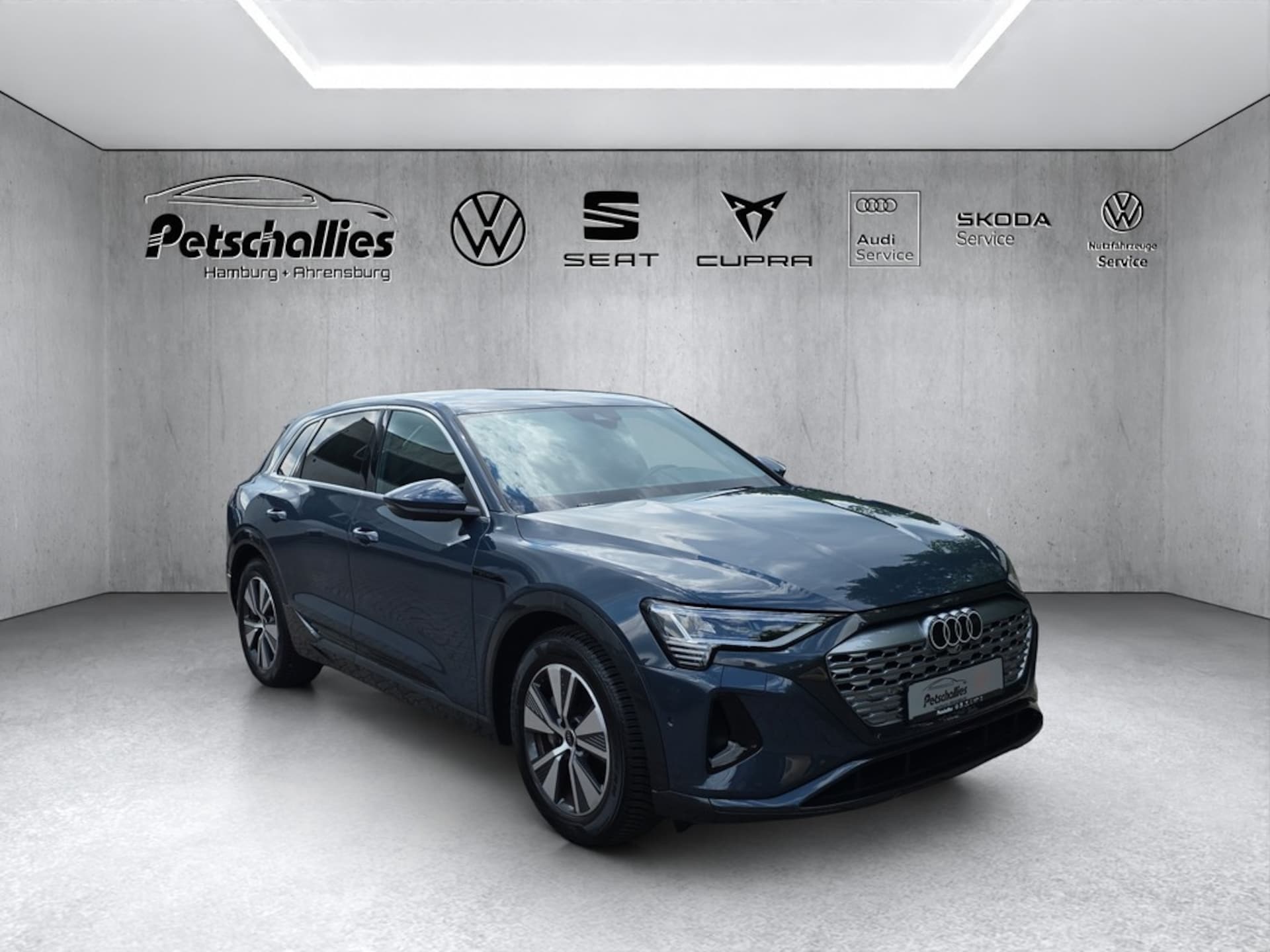 Audi Q8 e-tron Advanced