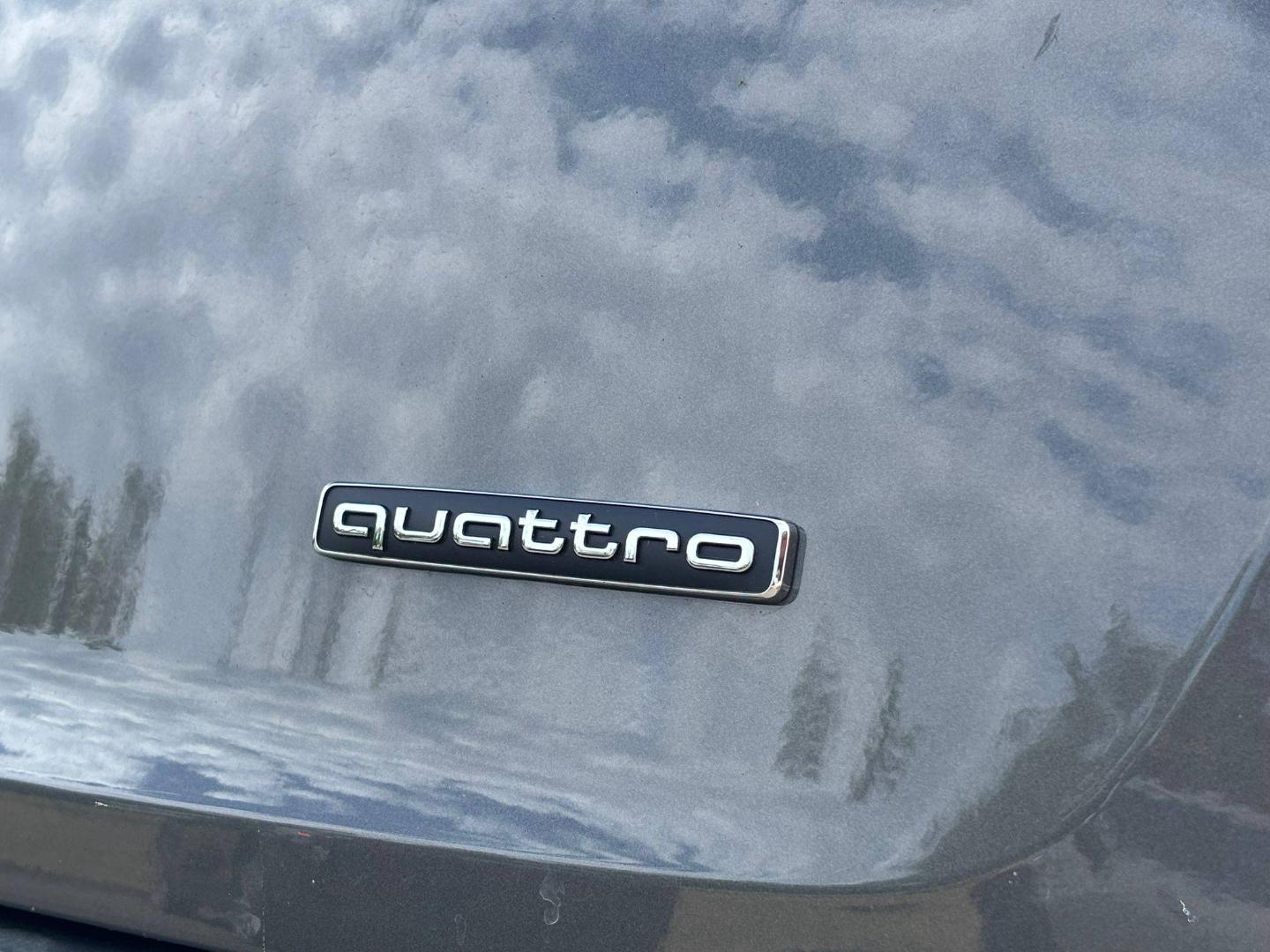 Image about Audi Q5 Sportback TFSI e Black Edition 50 TFSI e Hybride rechargeable quattro220(299)kW(ch)S tronic