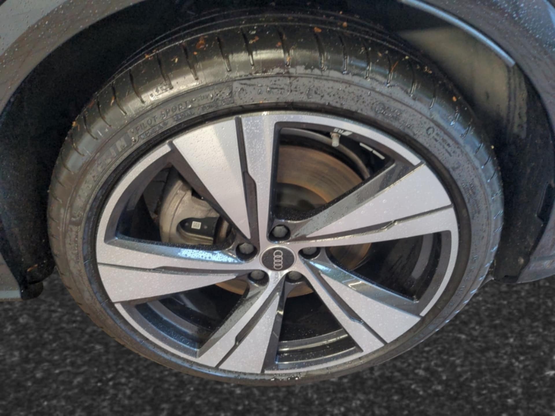 Audi Q5 SUV edition one