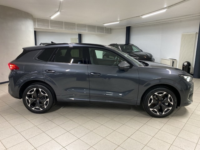 Bild des Autos 11