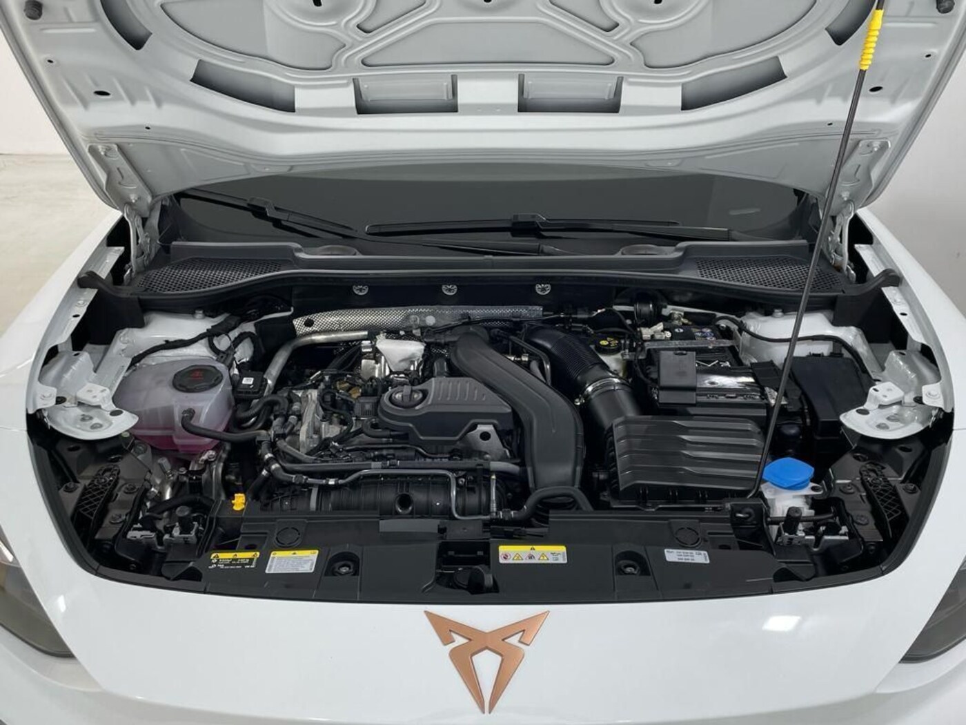 CUPRA Formentor 1.5 eTSI DSG 110 kW (150 CV) — photo 15