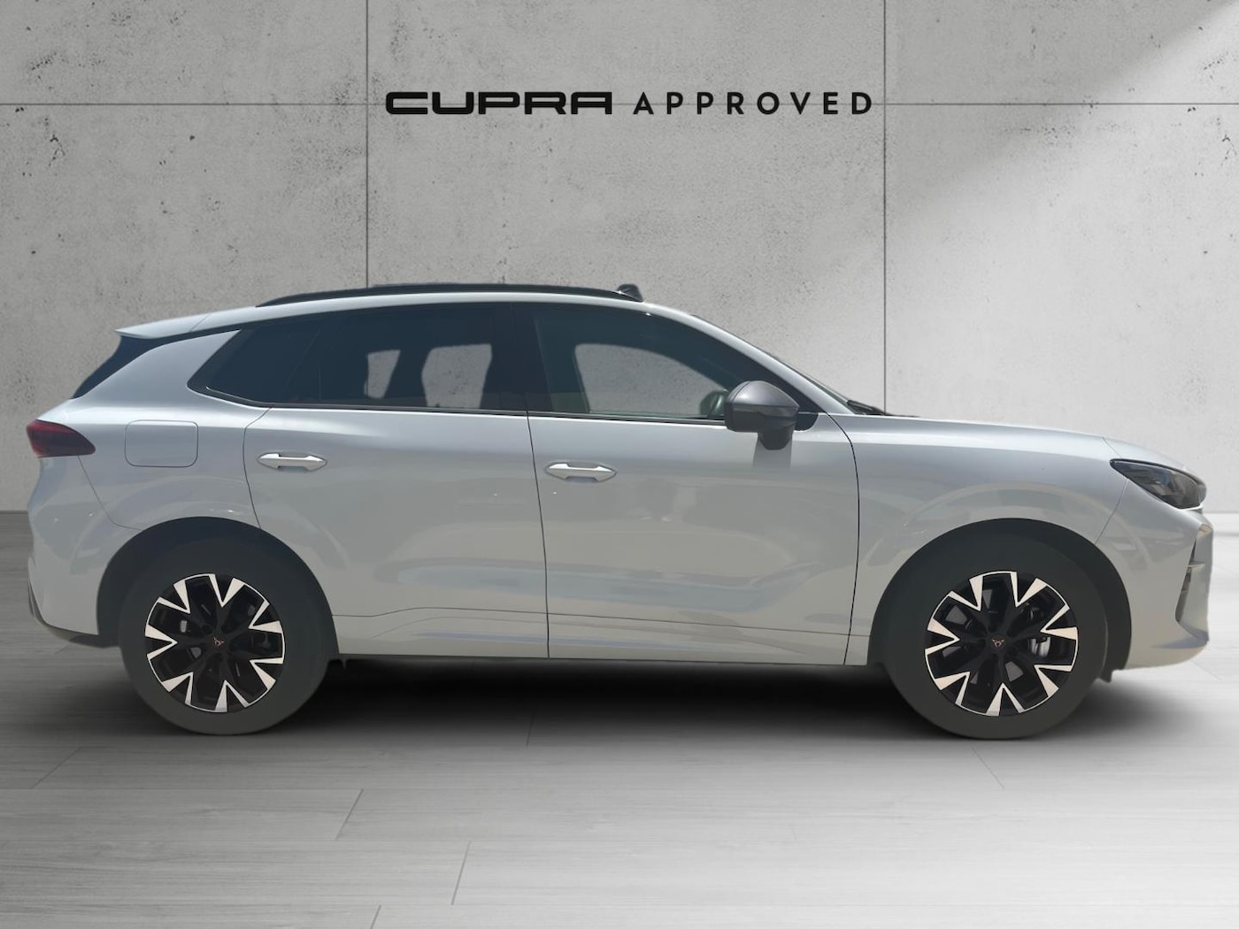 CUPRA Terramar 1.5 TSI e-Hybrid DSG 150 kW (204 CV) — photo 3