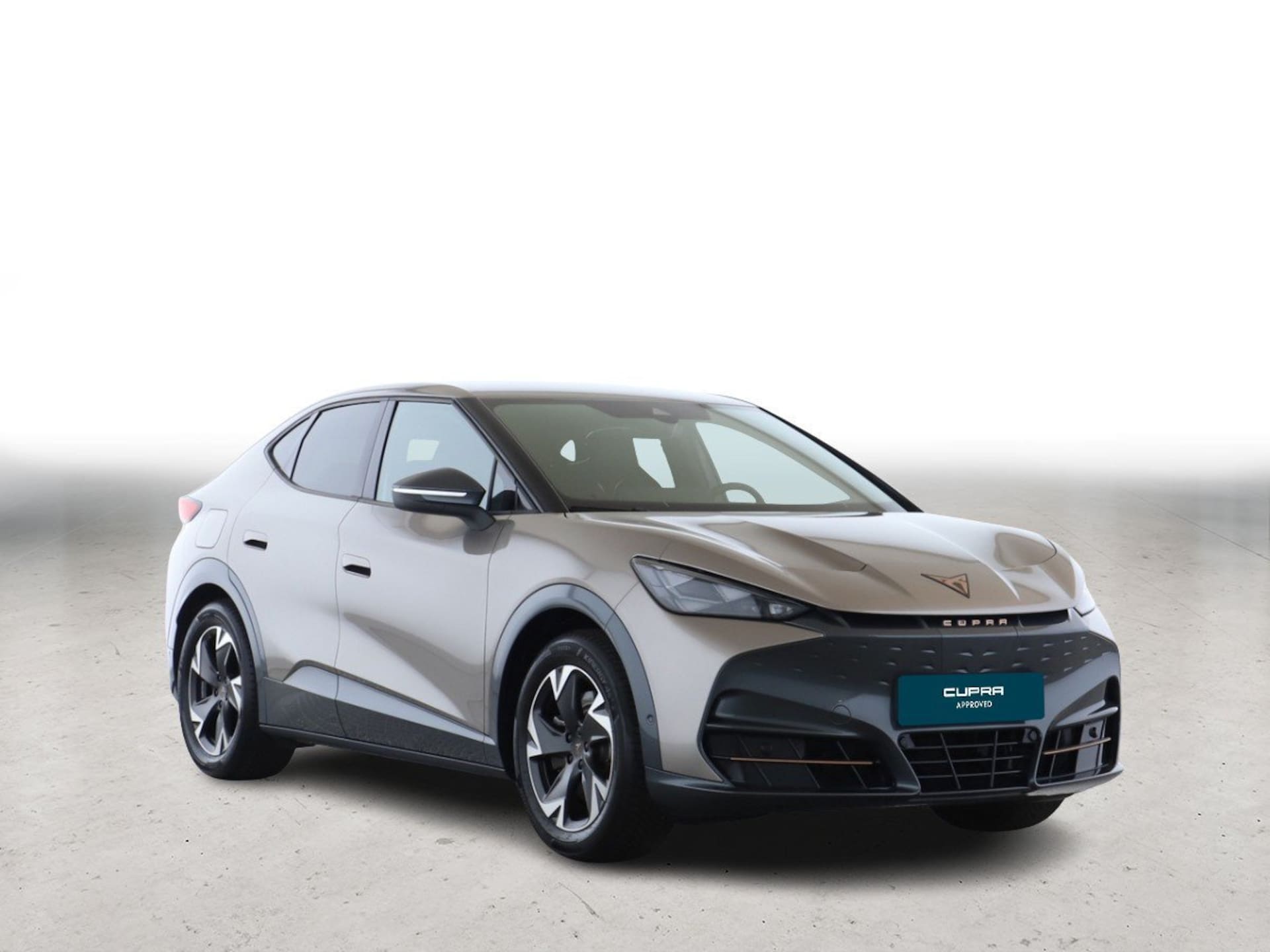 CUPRA Tavascan Endurance