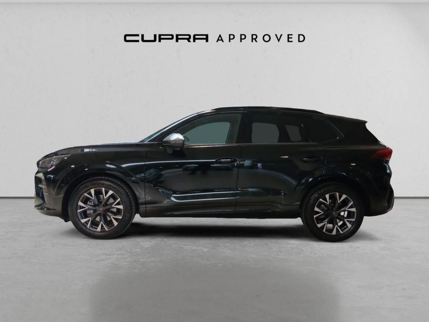 CUPRA Terramar 1.5 eTSI DSG 110 kW (150 CV) — photo 15
