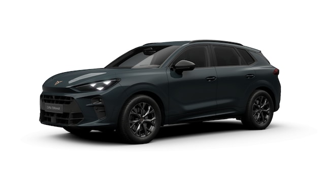 Bild des Autos 2