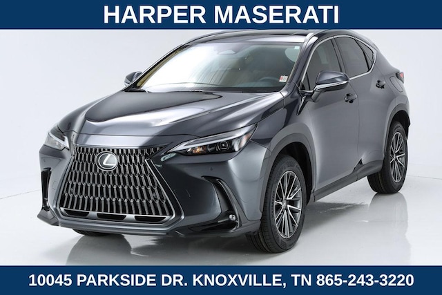 2025 Lexus NX