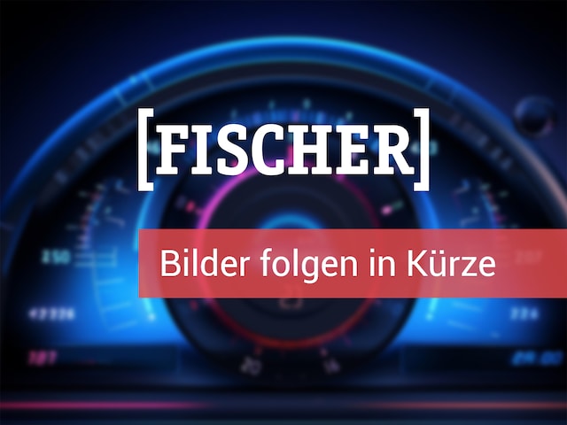 CUPRA Formentor 1.4 eHybrid DSG LED Navi SHZ Rear View ACC (B28151)