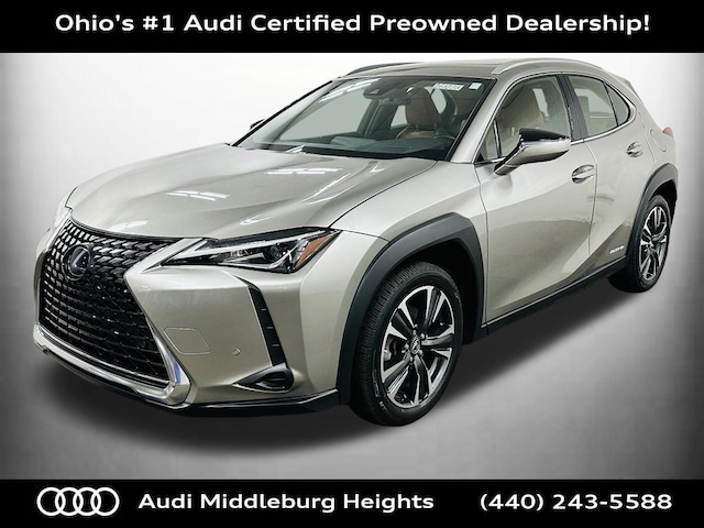 2020 Lexus UX 250h