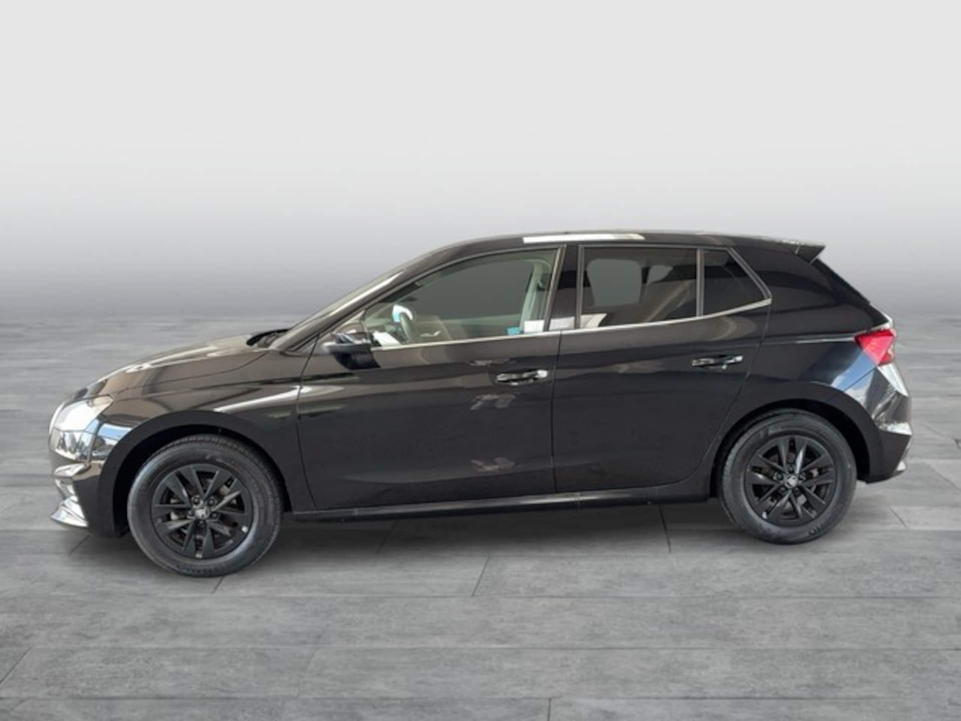 Skoda Fabia Selection