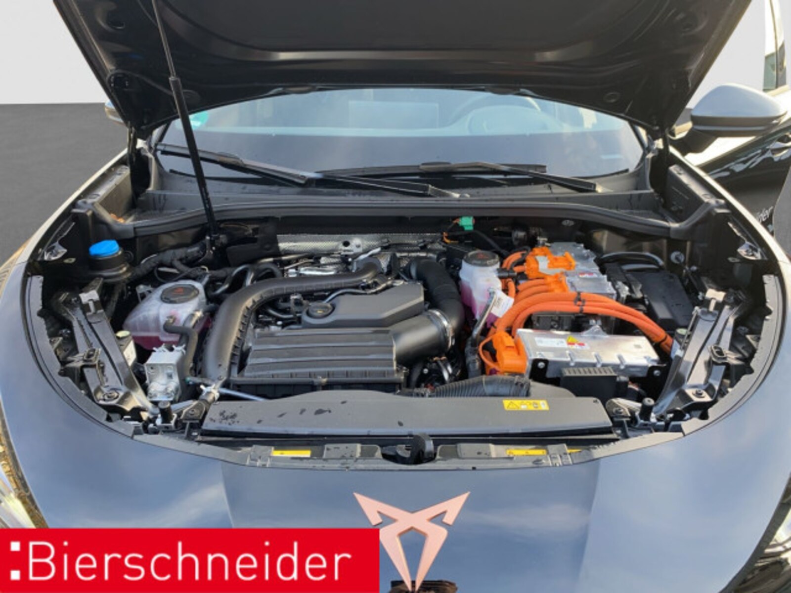 CUPRA Terramar – Bild 20