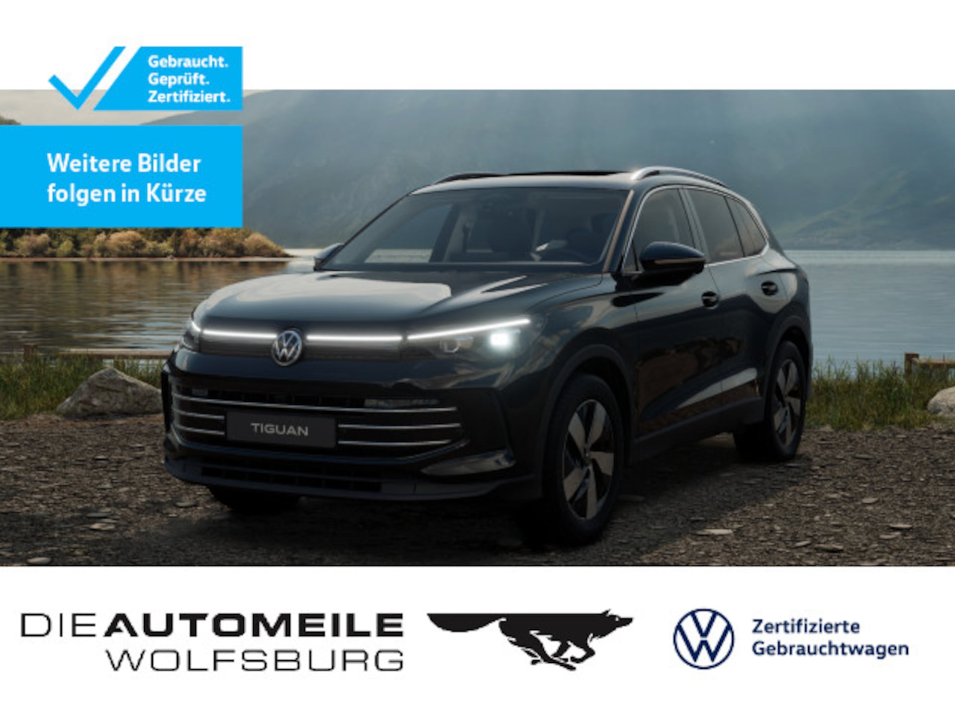 Volkswagen Tiguan Elegance