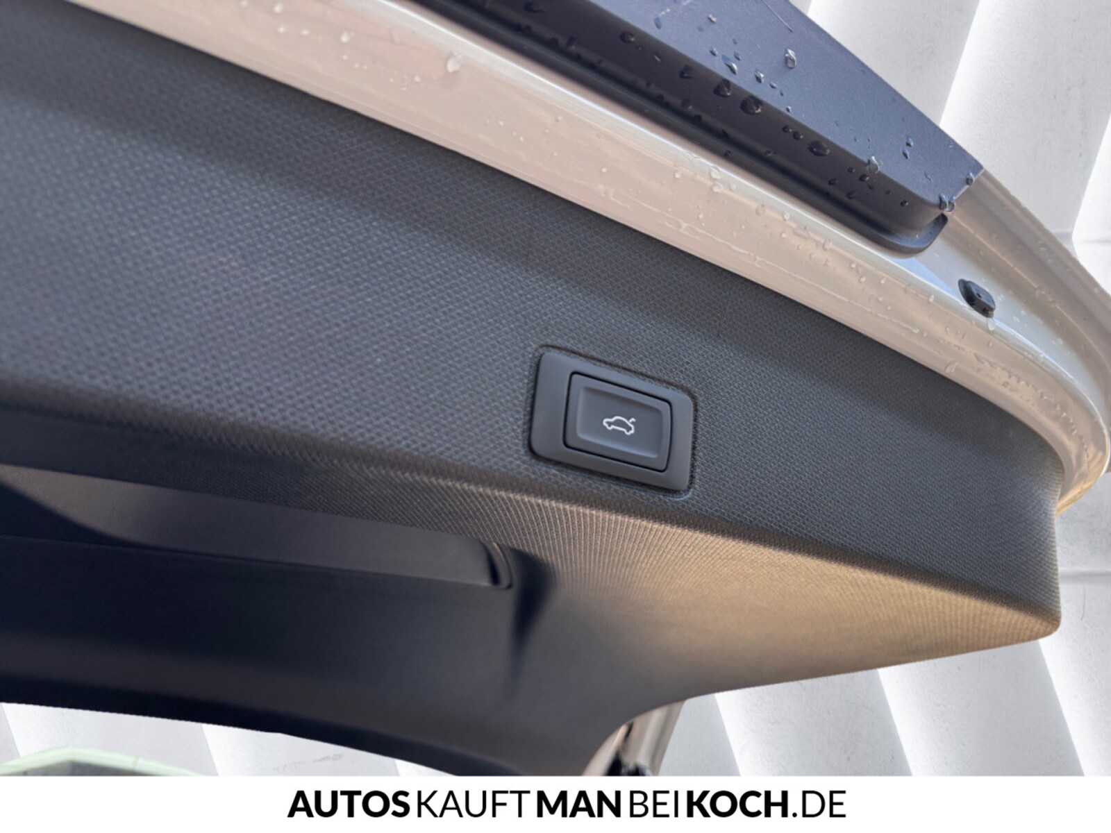 CUPRA Terramar – Bild 15
