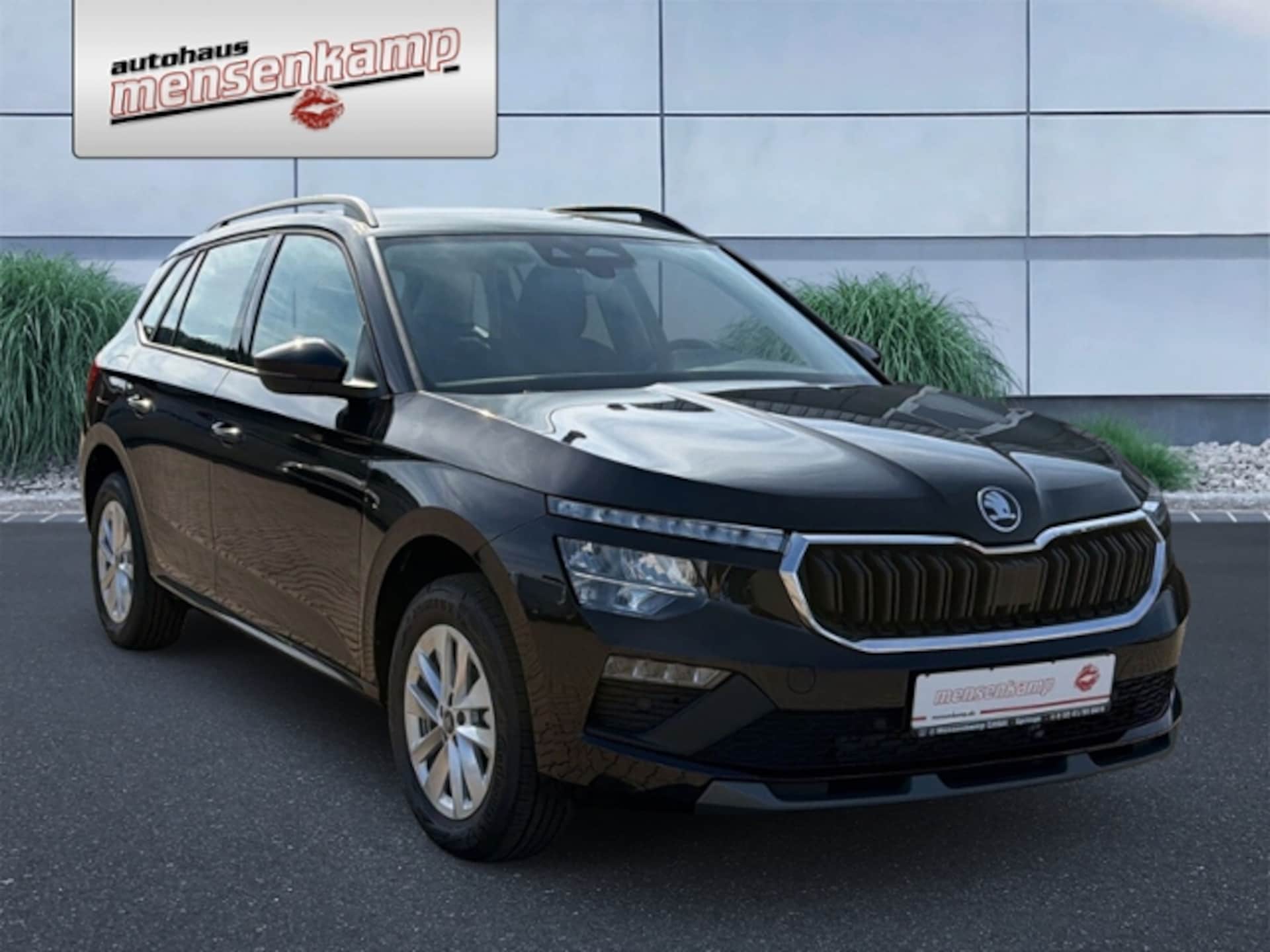 Skoda Kamiq Selection