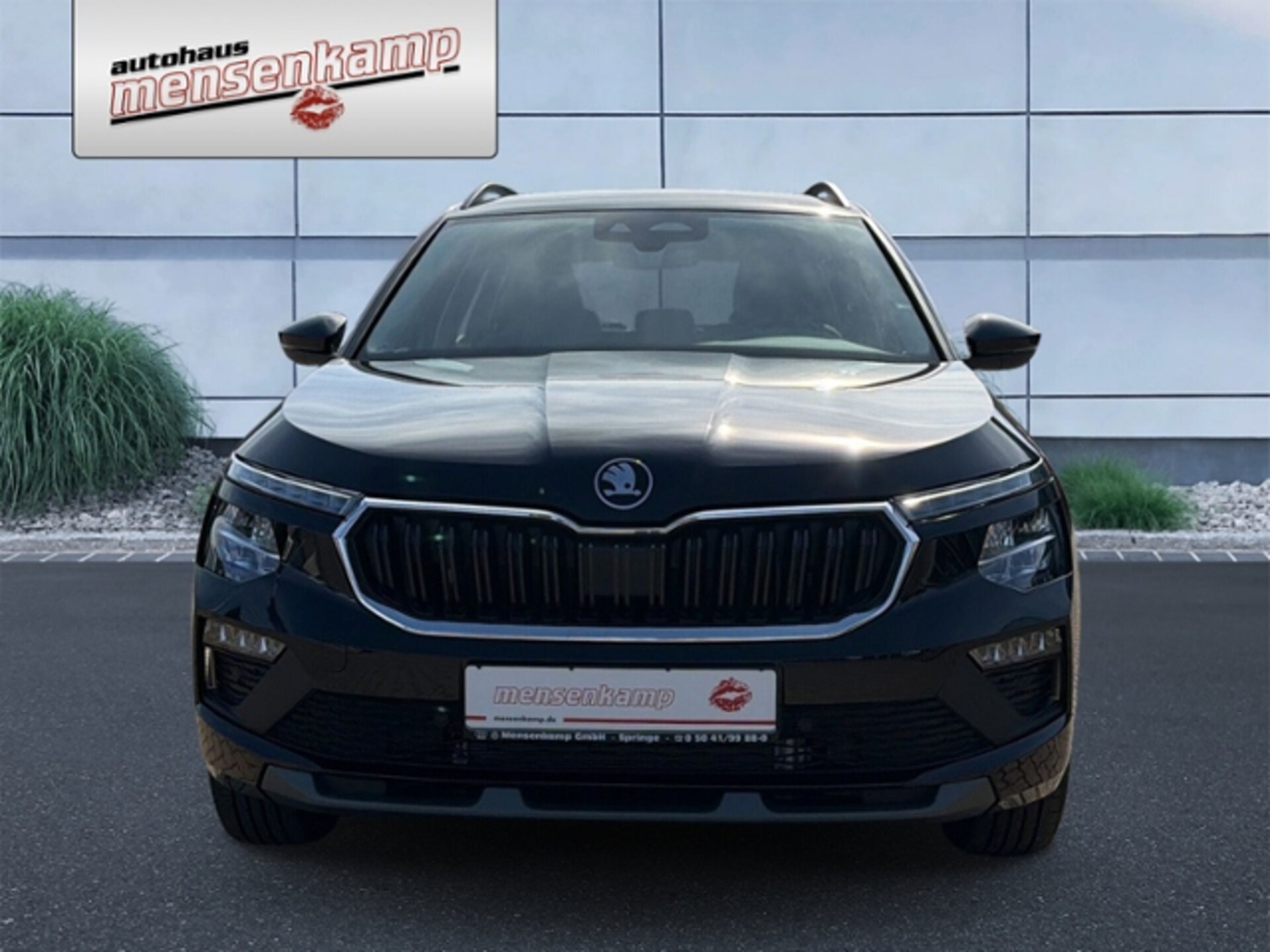 Skoda Kamiq Selection