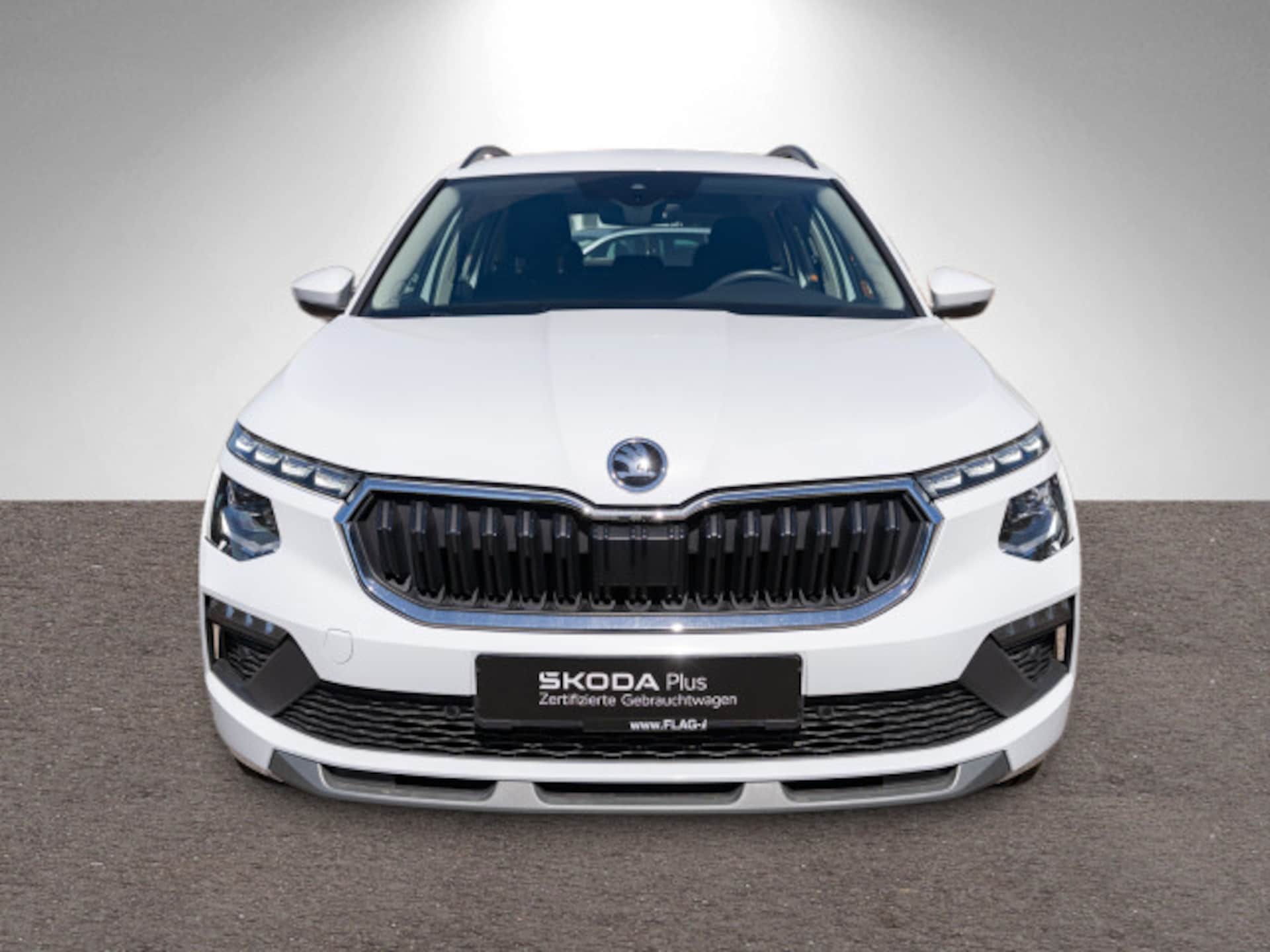 Skoda Kamiq Selection