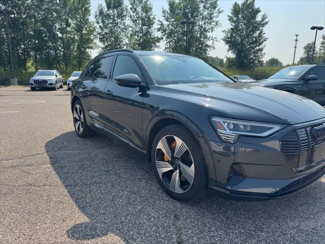 Used 2022 Audi e-tron Premium Plus with VIN WA1LAAGE3NB041844 for sale in Maplewood, MN