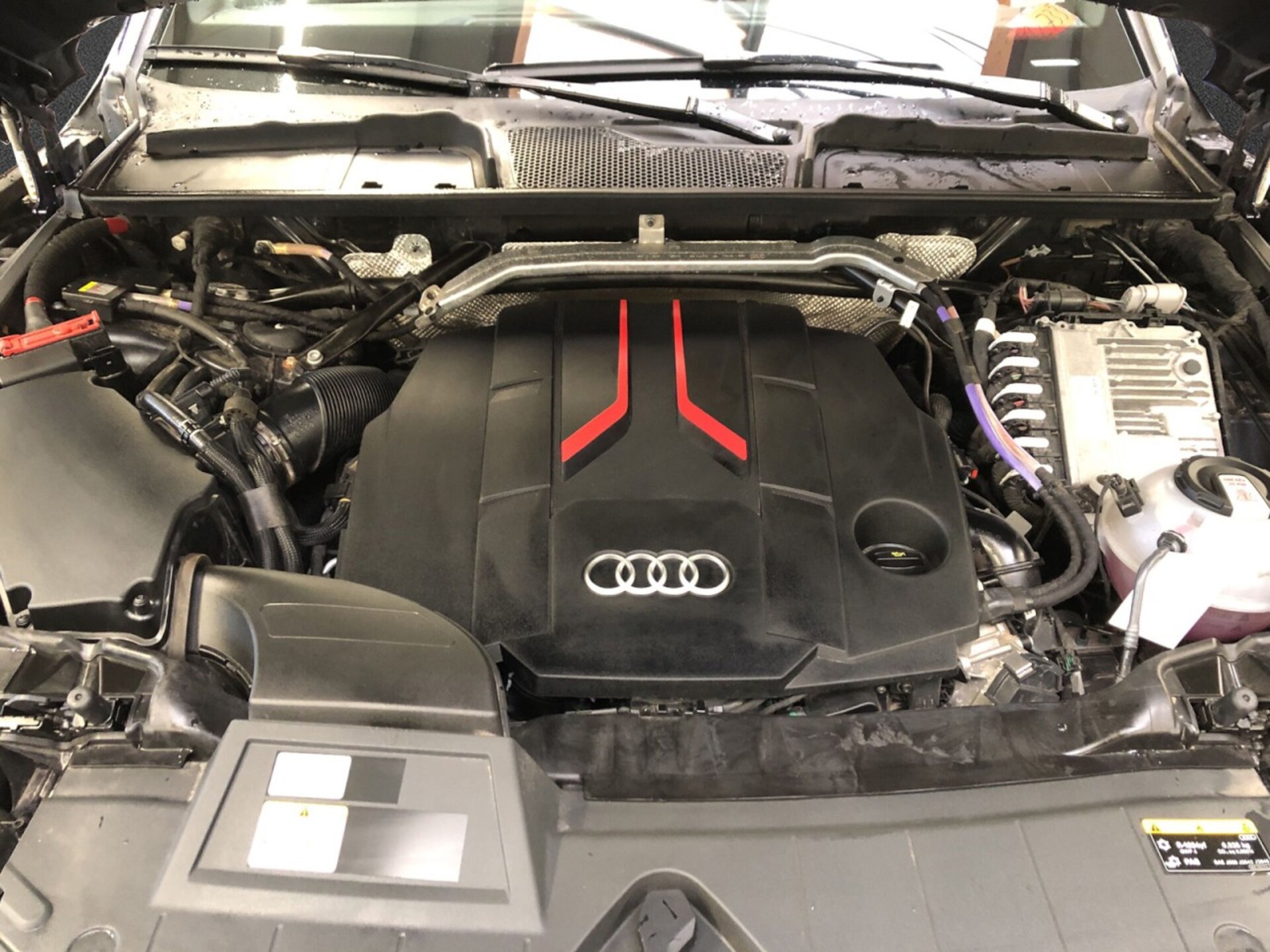 Audi SQ5 SUV