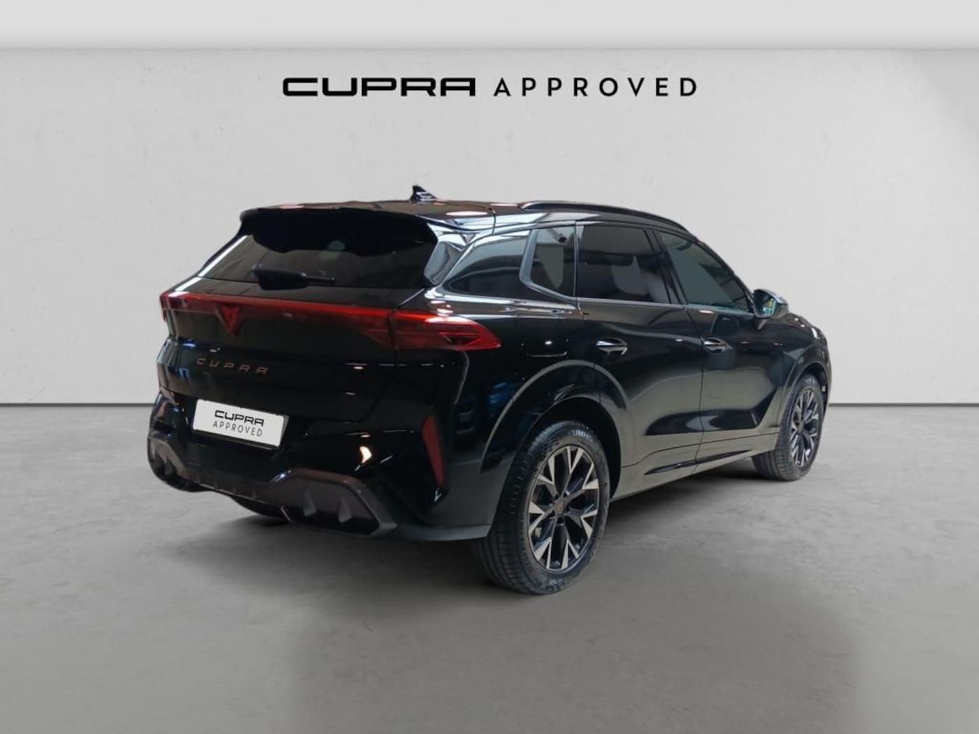 CUPRA Terramar 1.5 eTSI DSG 110 kW (150 CV) — photo 14