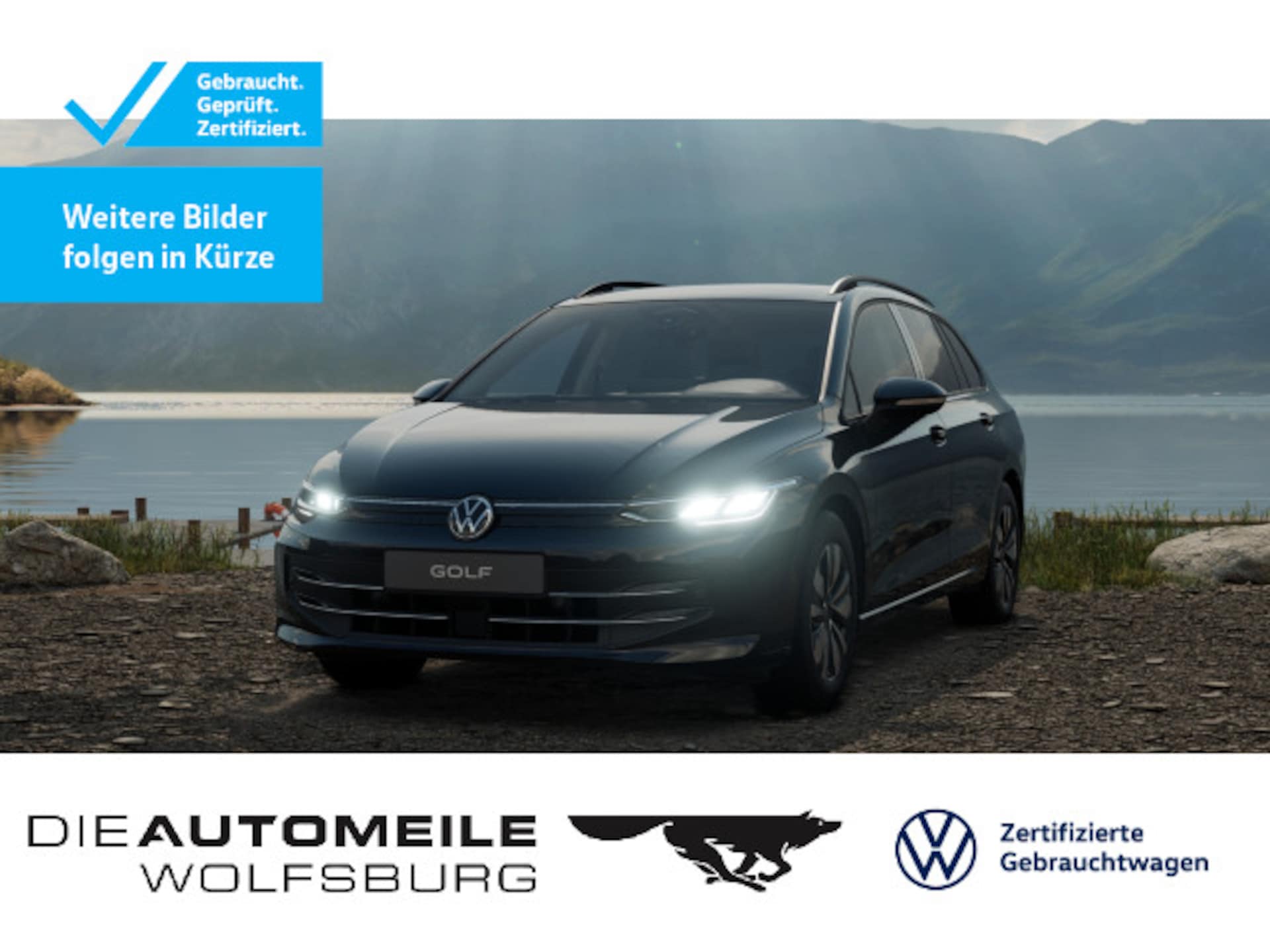 Volkswagen Golf Variant Goal