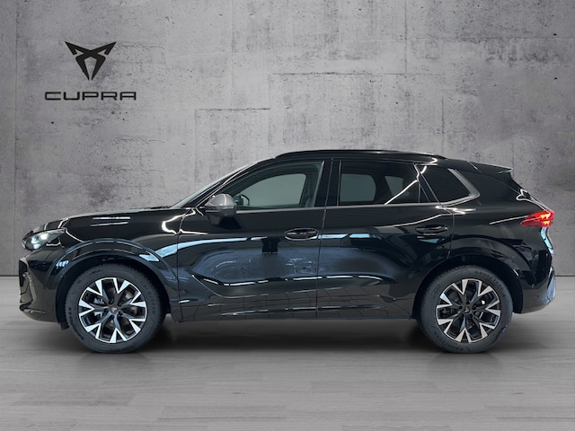 Bild des Autos 4