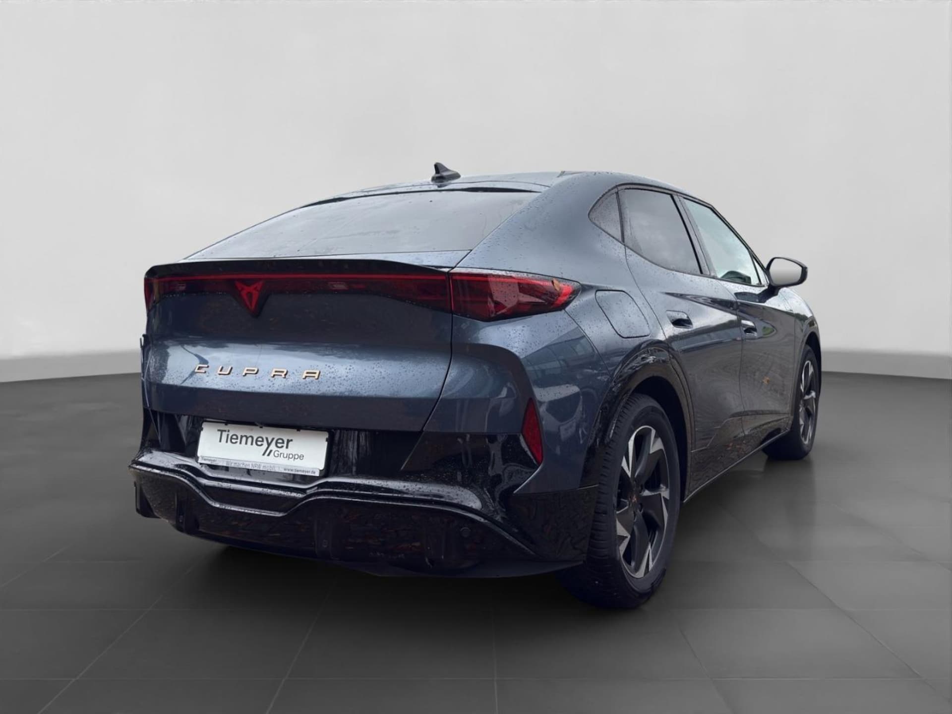 CUPRA Tavascan Endurance