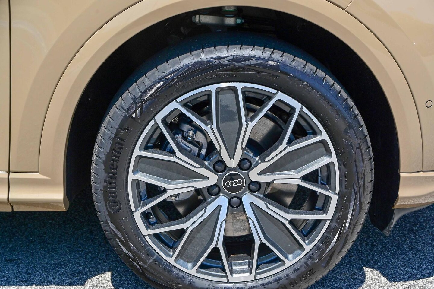 Image about Audi Q5 SUV TDI quattro 150 kW sport