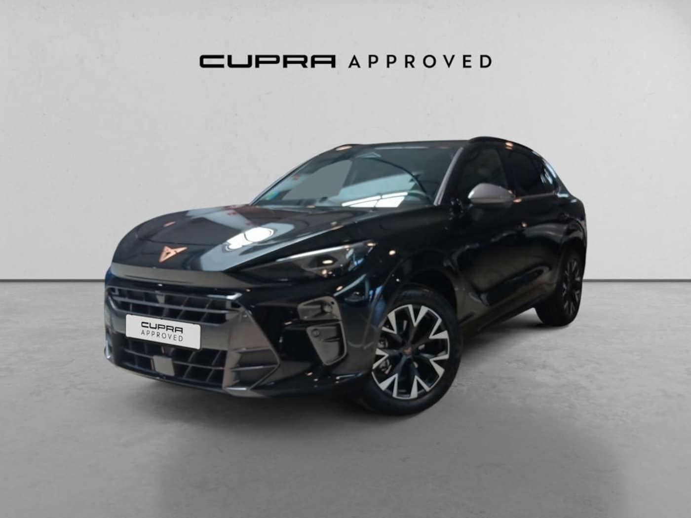 CUPRA Terramar 1.5 eTSI DSG 110 kW (150 CV) — photo 13