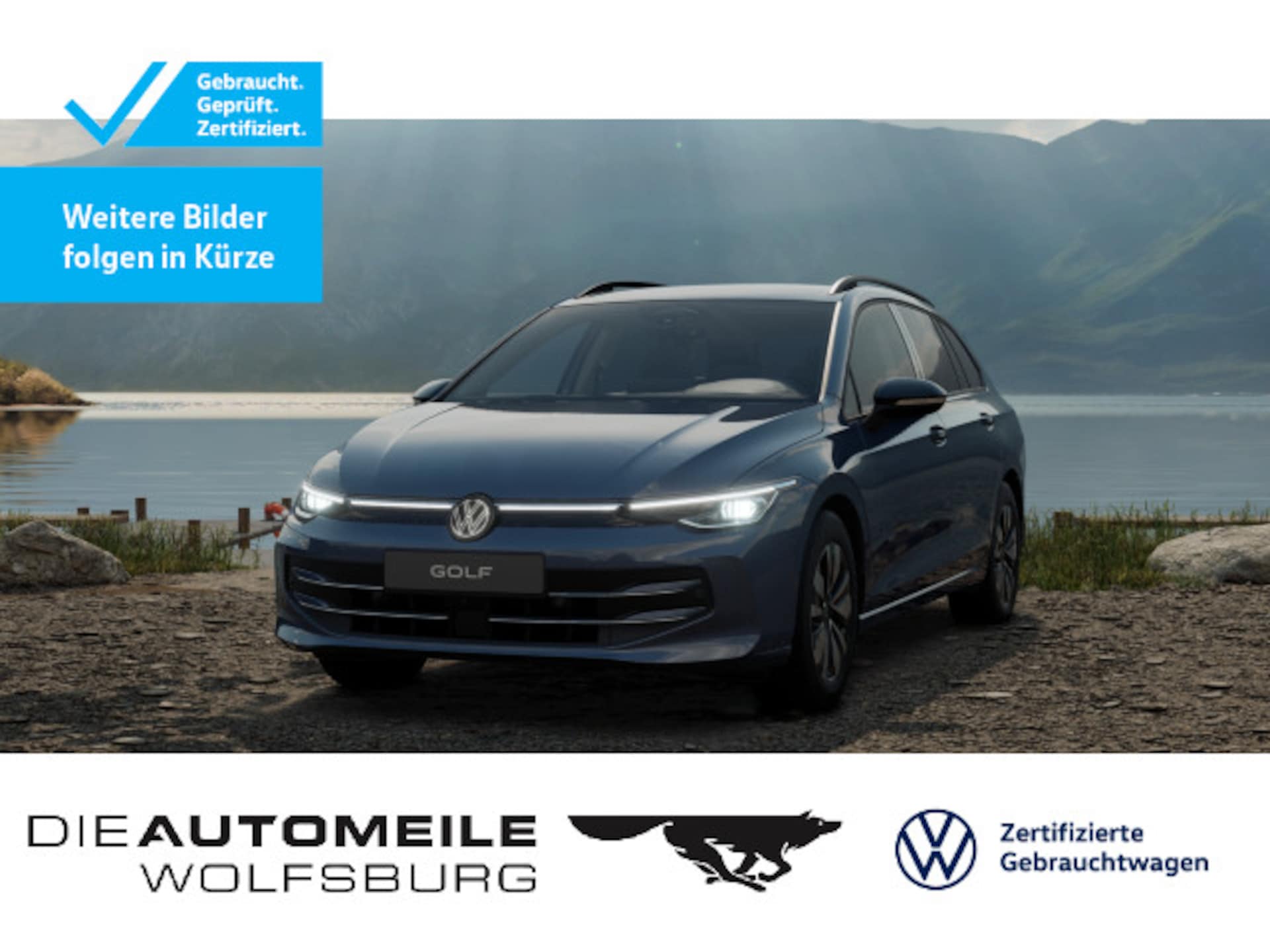 Volkswagen Golf Variant Goal