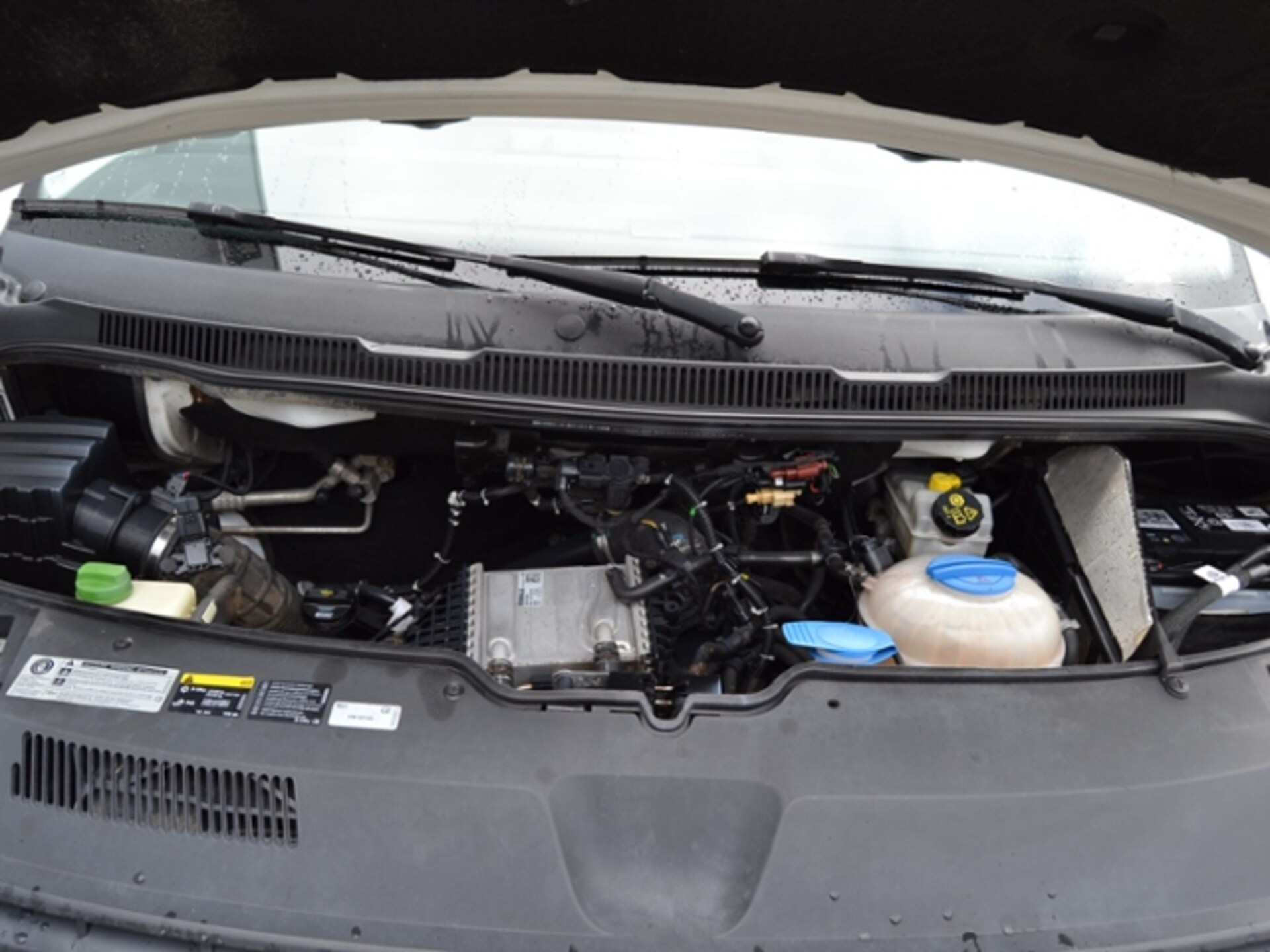 Volkswagen T6 Transporter Kasten kurzer Radstand