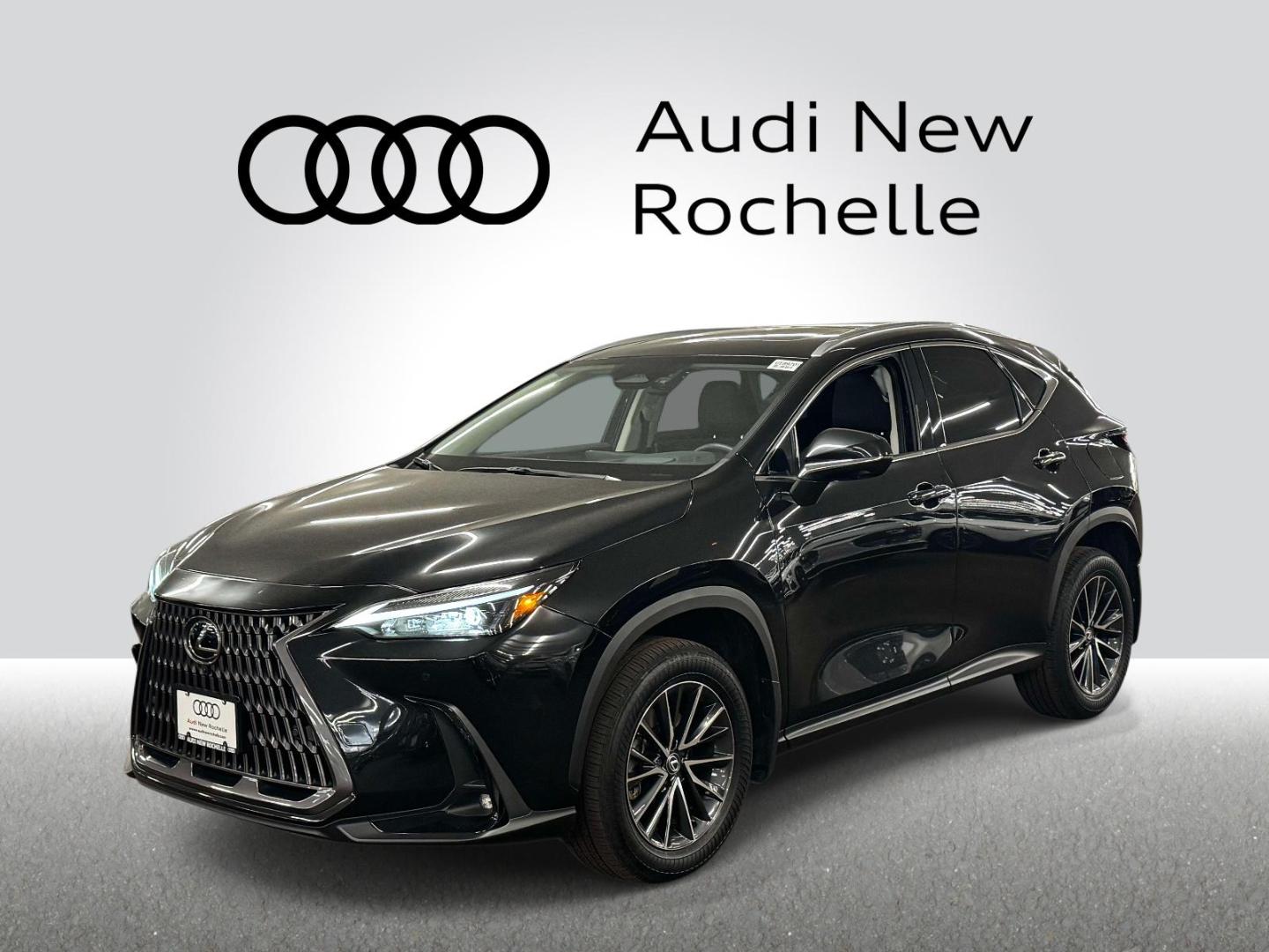 2024 Lexus NX 350 350 Premium AWD's photo