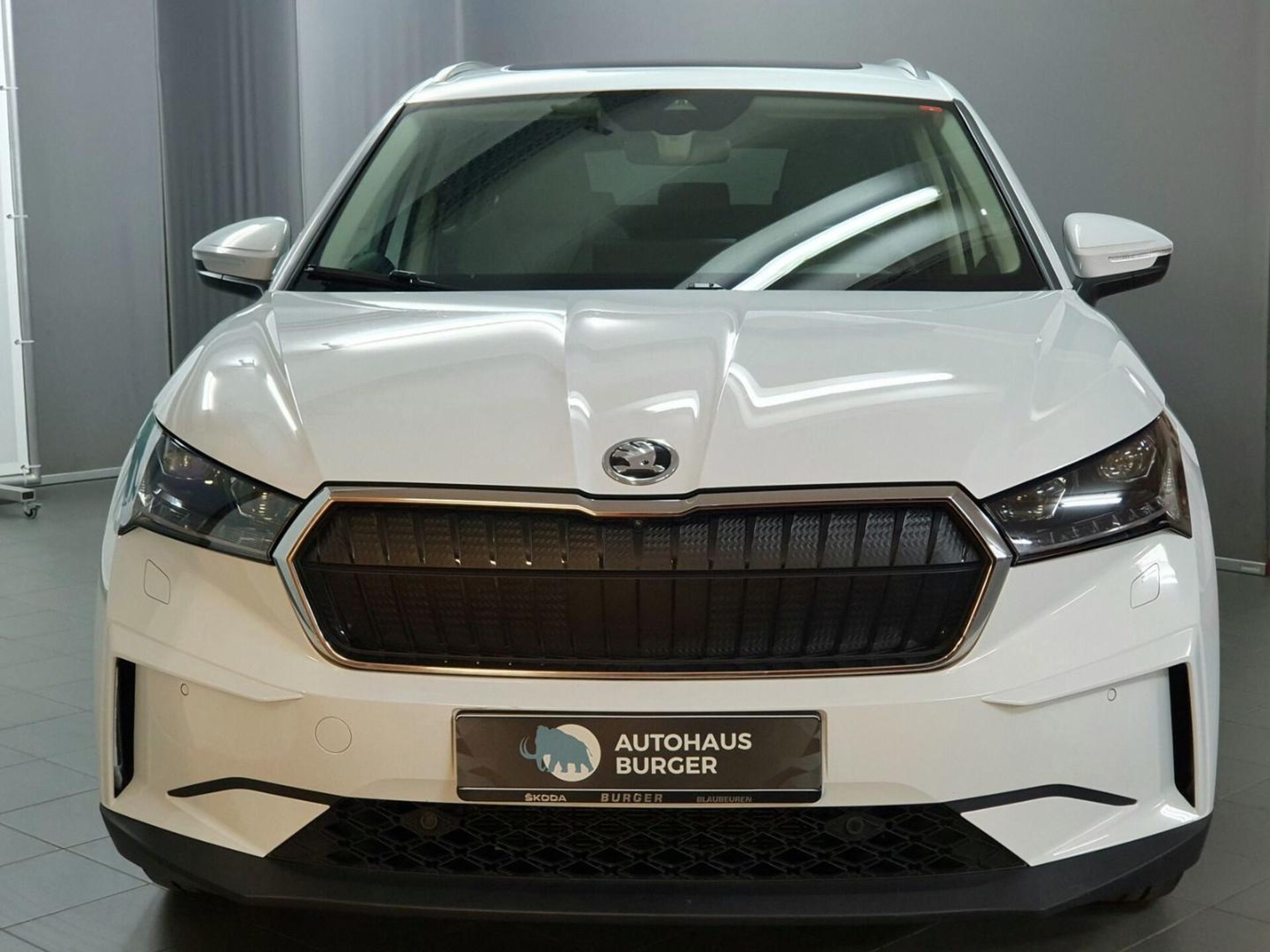 Skoda Enyaq 80X