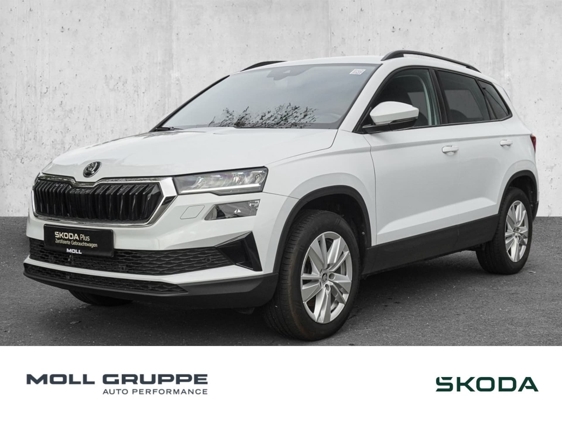 Skoda Karoq 2024