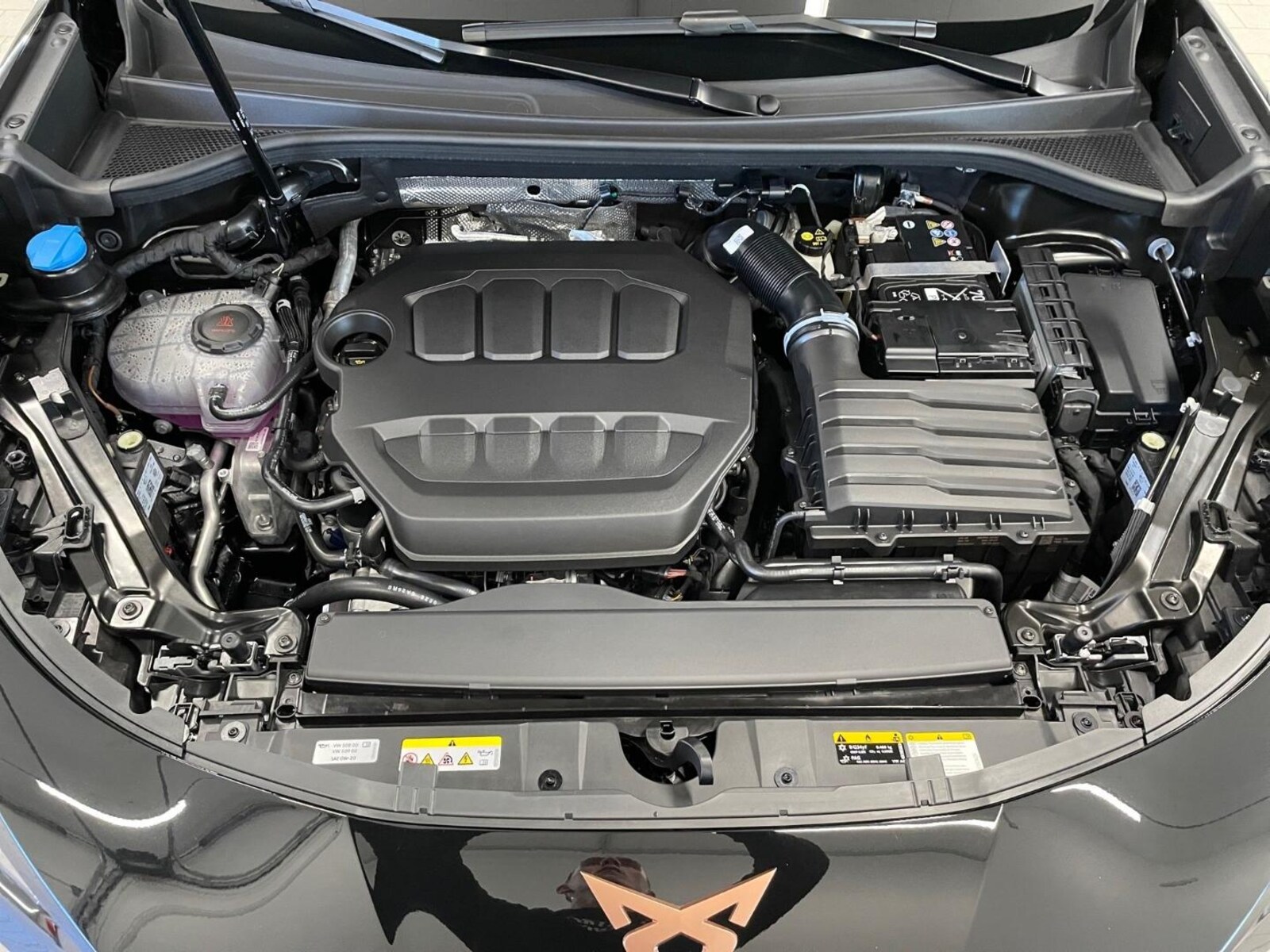 CUPRA Terramar – Bild 7