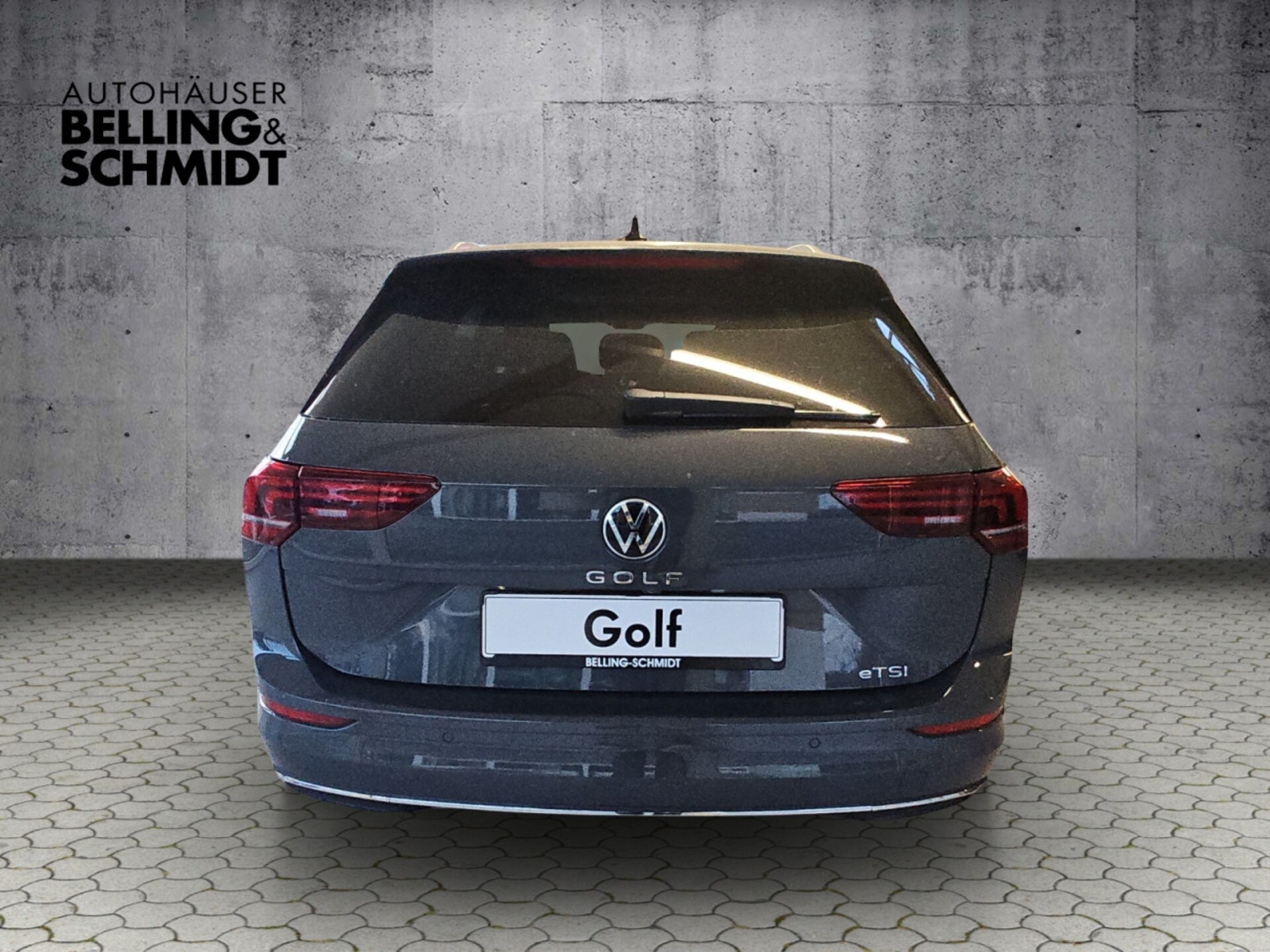 Volkswagen Golf Variant Style