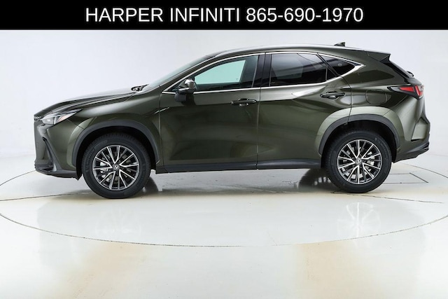 2024 Lexus NX 250