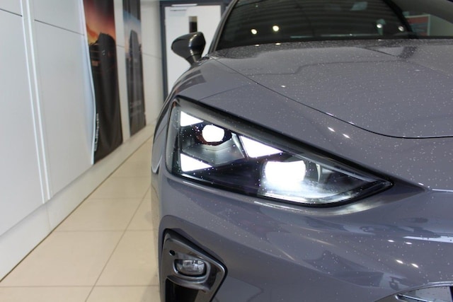 Bild des Autos 19