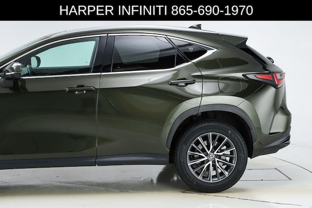 2024 Lexus NX 250