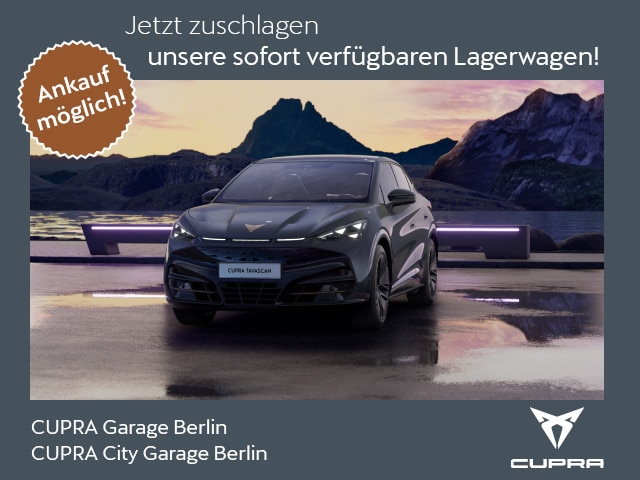 CUPRA Tavascan Dual Engine VZ 4Drive 250/​82 Pano Navi (119087)
