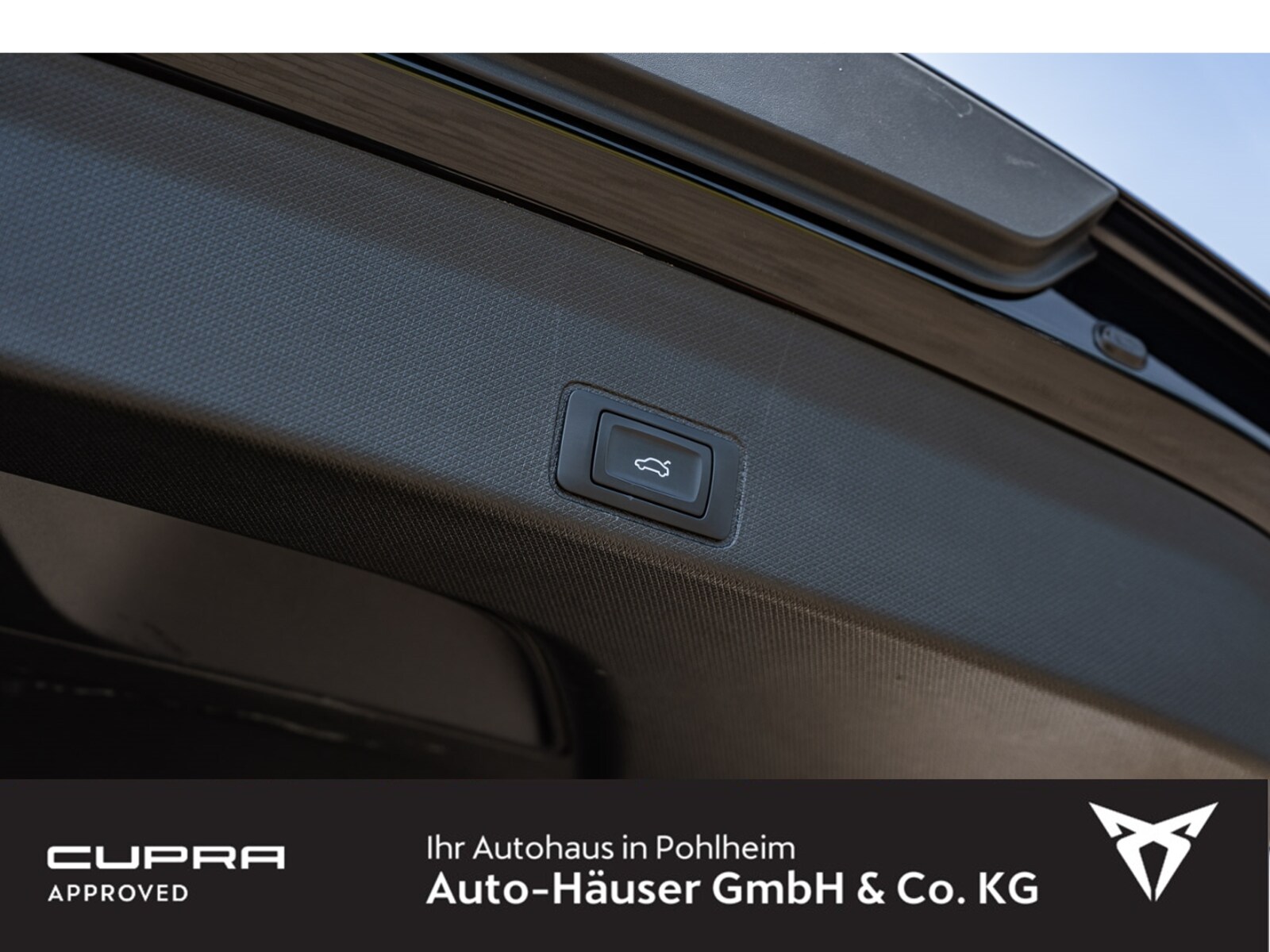 CUPRA Terramar – Bild 13