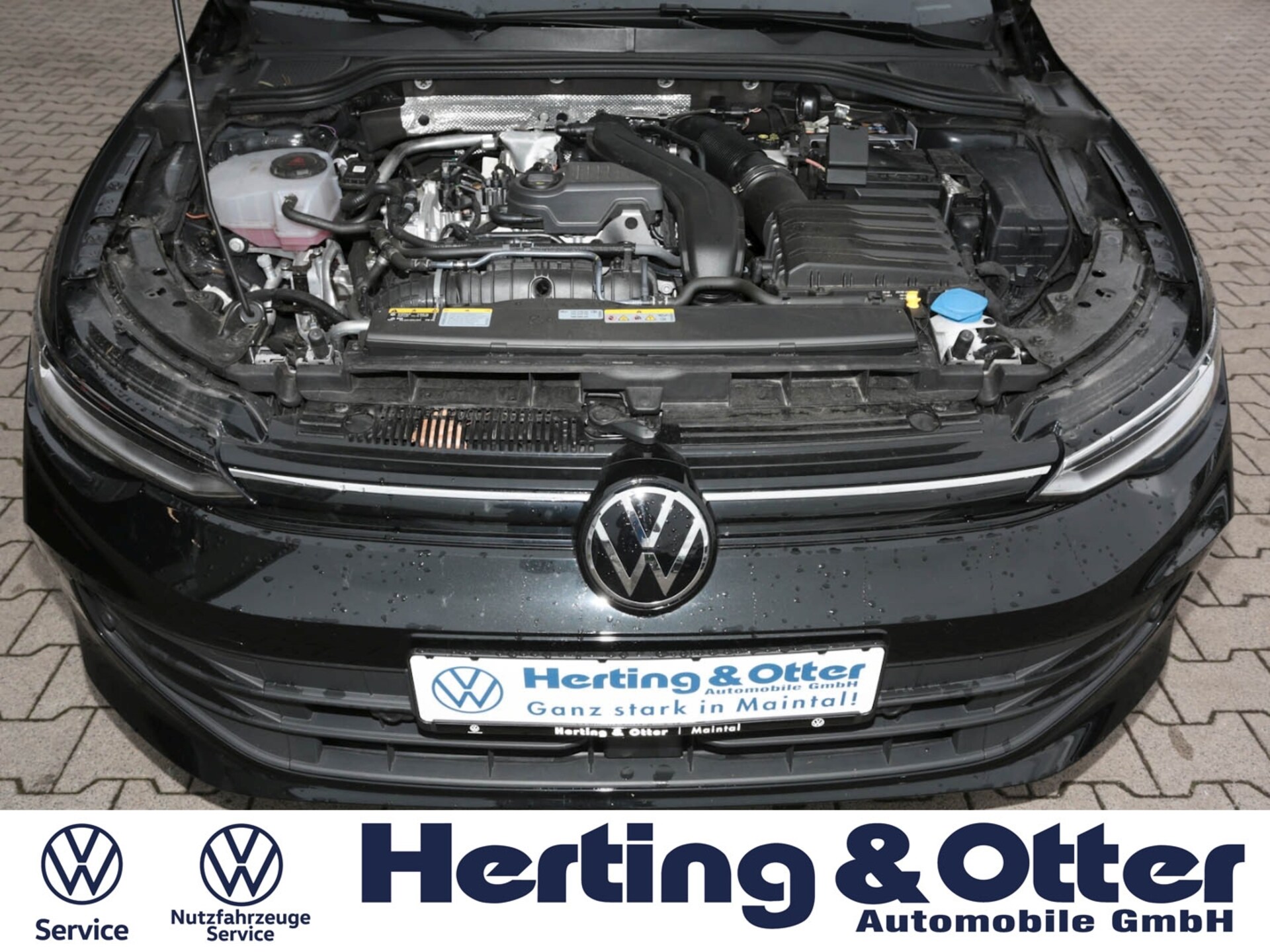 Volkswagen Golf Life